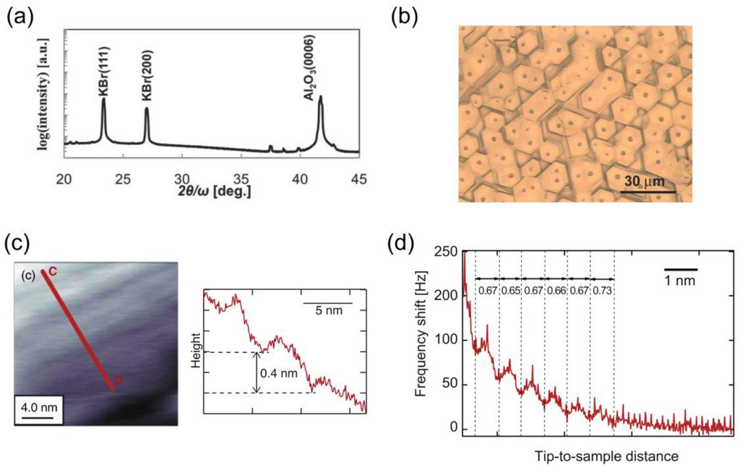 Molecules 28 01991 g010 Molecules 28 01991 g010
