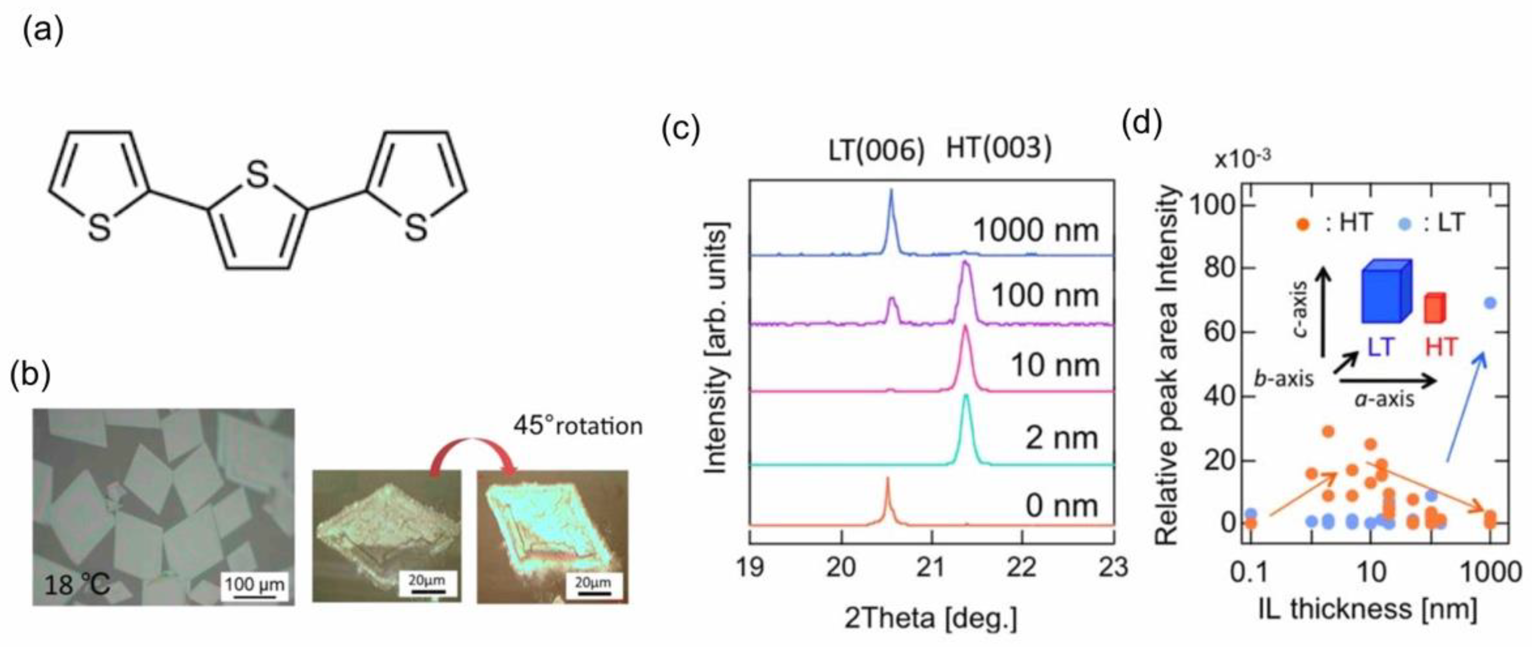 Molecules 28 01991 g011 Molecules 28 01991 g011