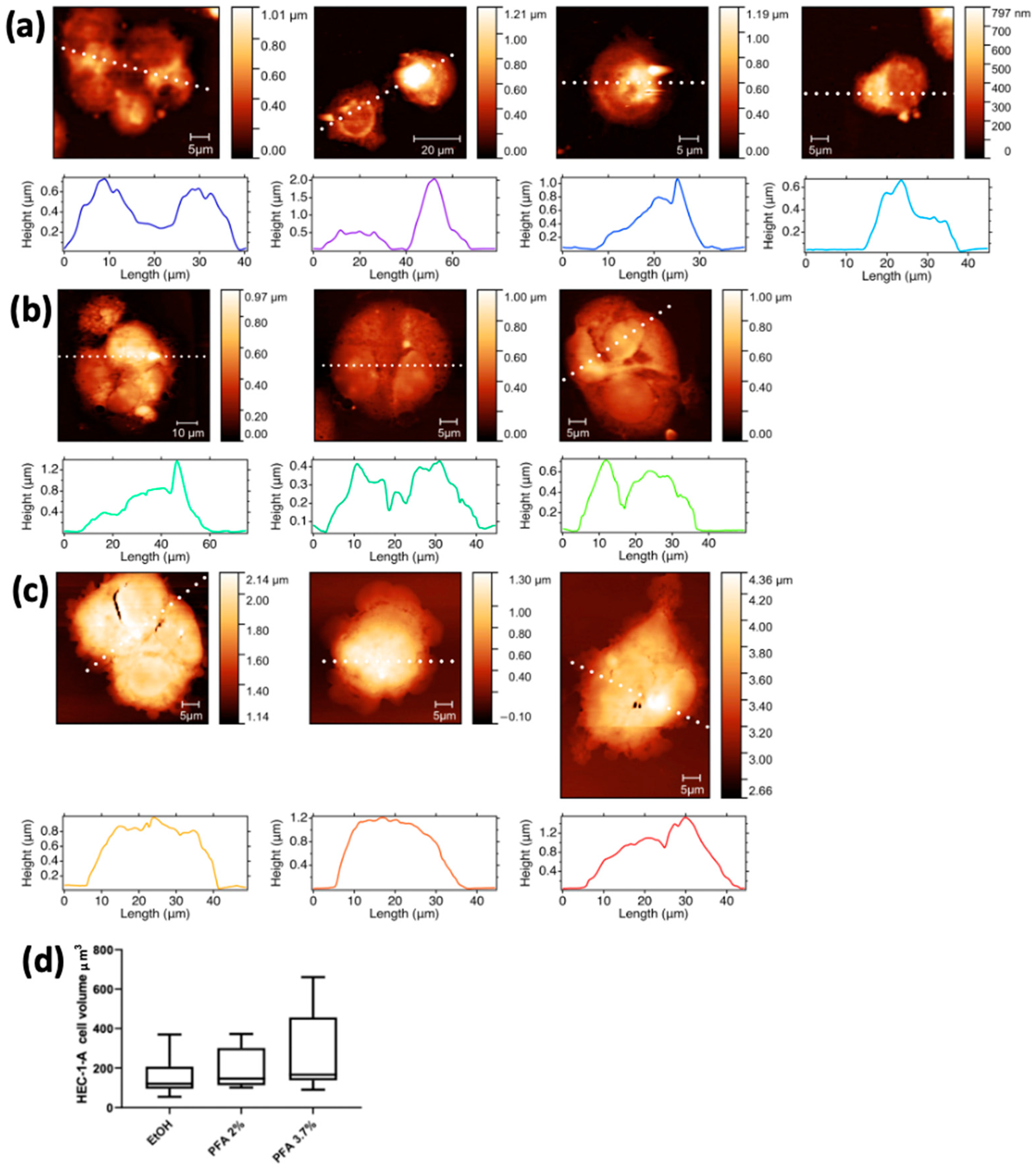 Molecules 28 01992 g003 Molecules 28 01992 g003