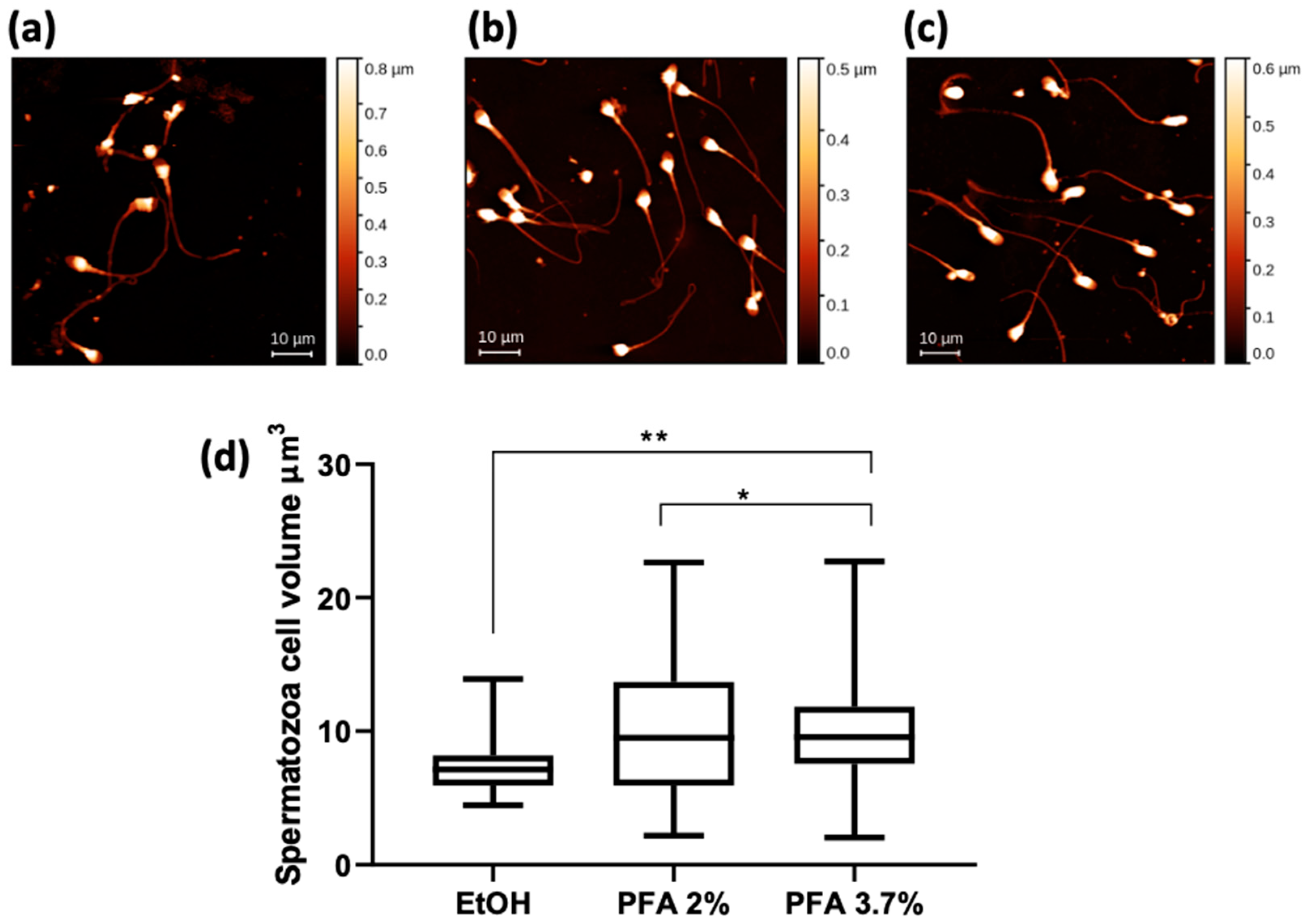 Molecules 28 01992 g005 Molecules 28 01992 g005