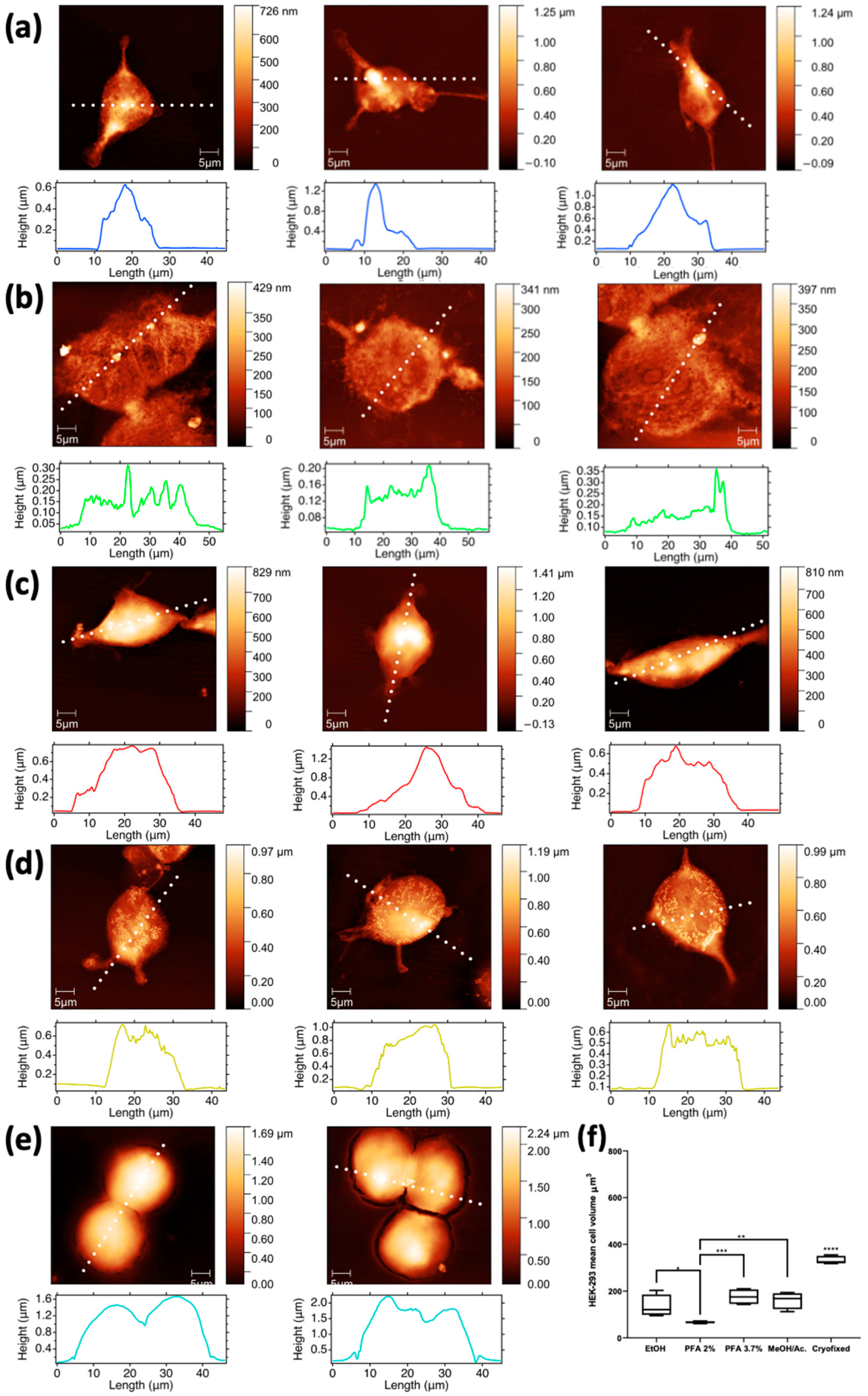 Molecules 28 01992 g007 Molecules 28 01992 g007