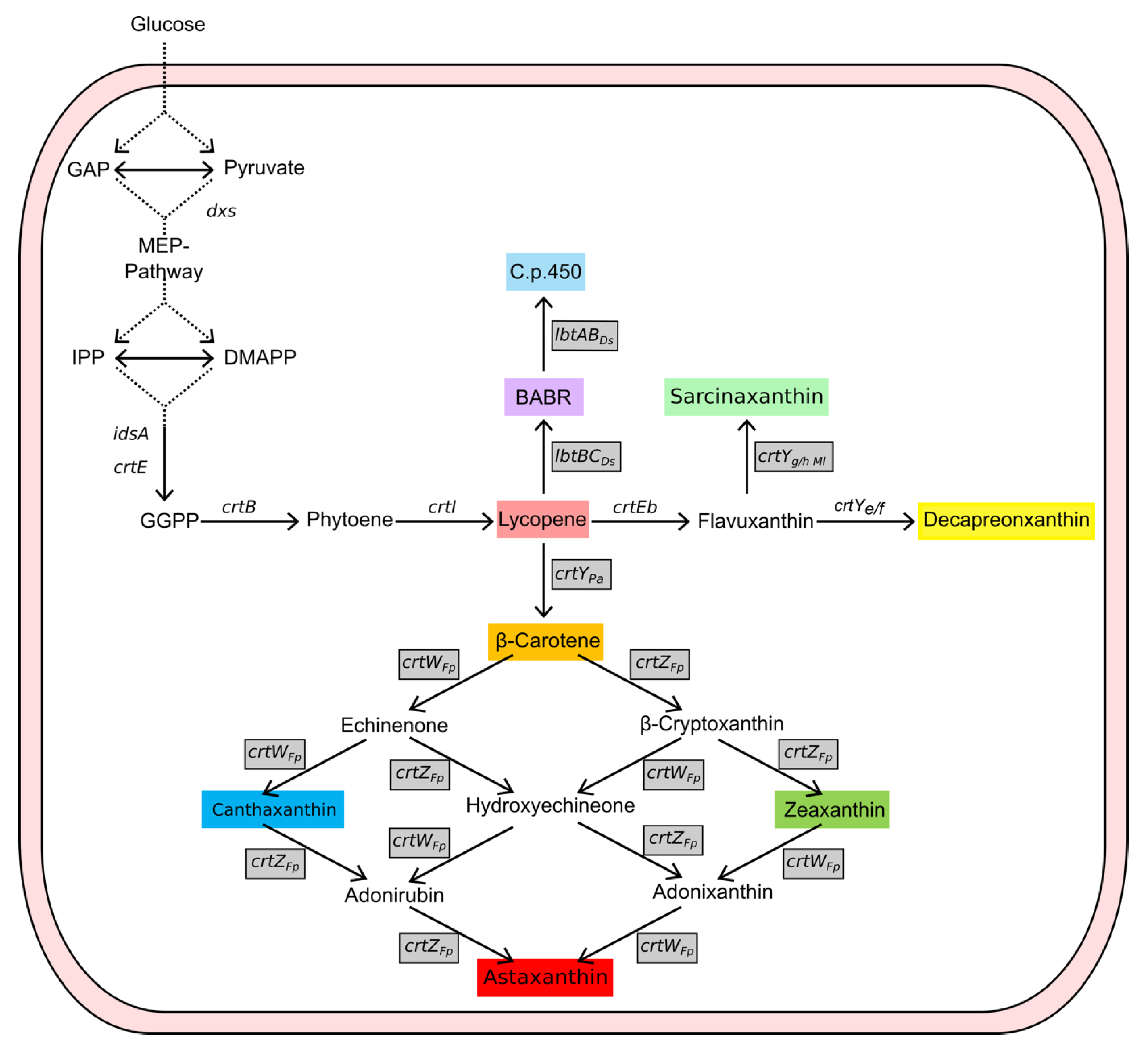 Molecules 28 01996 g001 Molecules 28 01996 g001