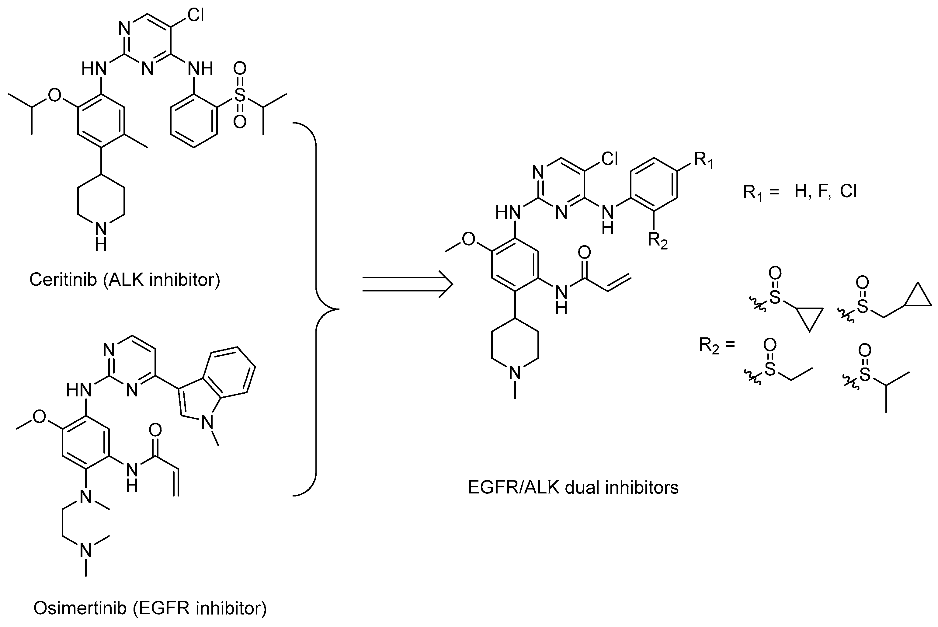 Molecules 28 02006 g001 Molecules 28 02006 g001