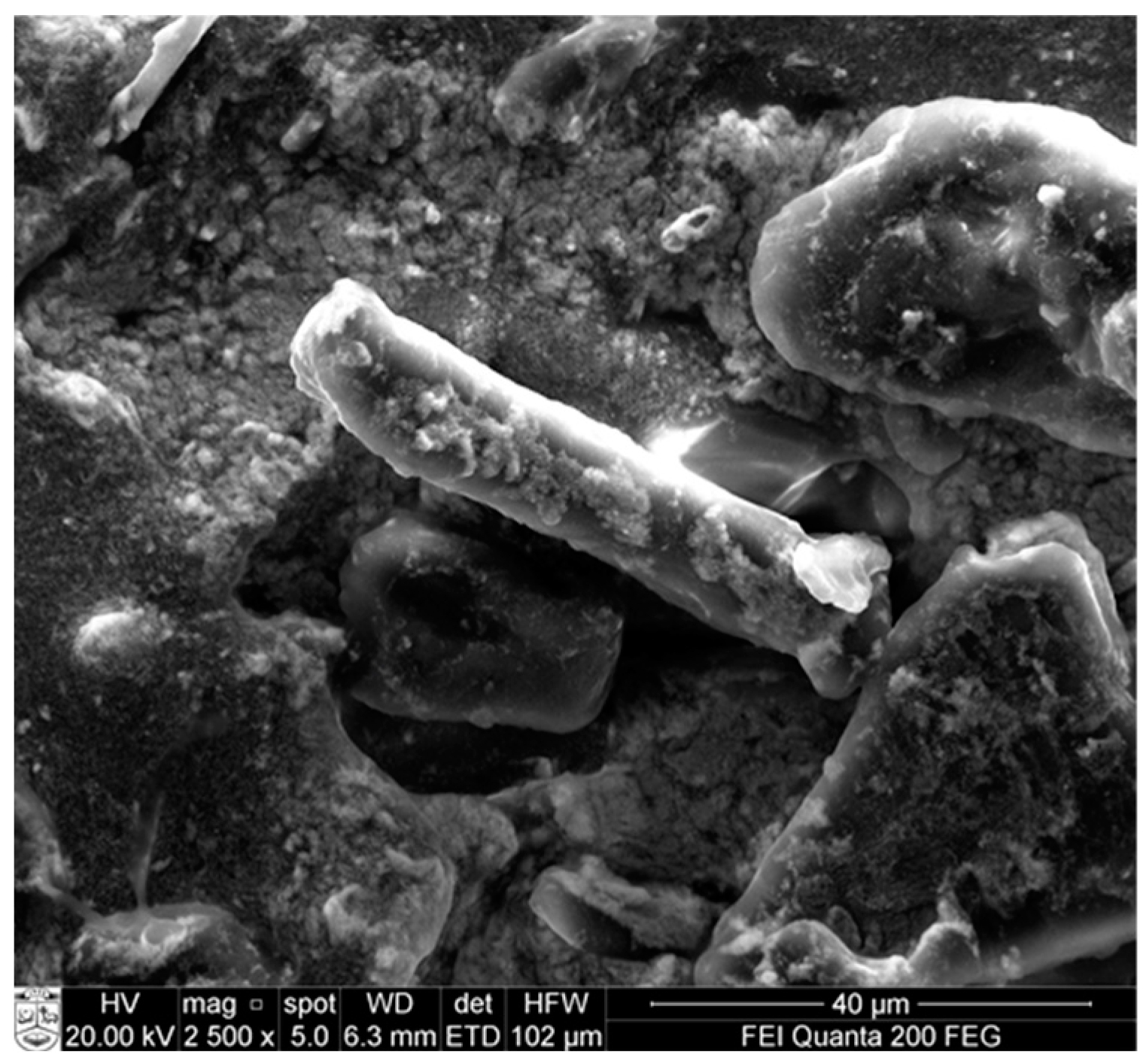 Molecules 28 02009 g010 Molecules 28 02009 g010