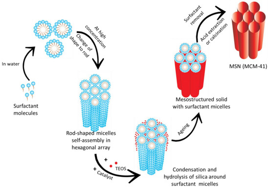 Molecules | Free Full-Text | Brief History, Preparation Method, and  Biological Application of Mesoporous Silica Molecular Sieves: A Narrative  Review