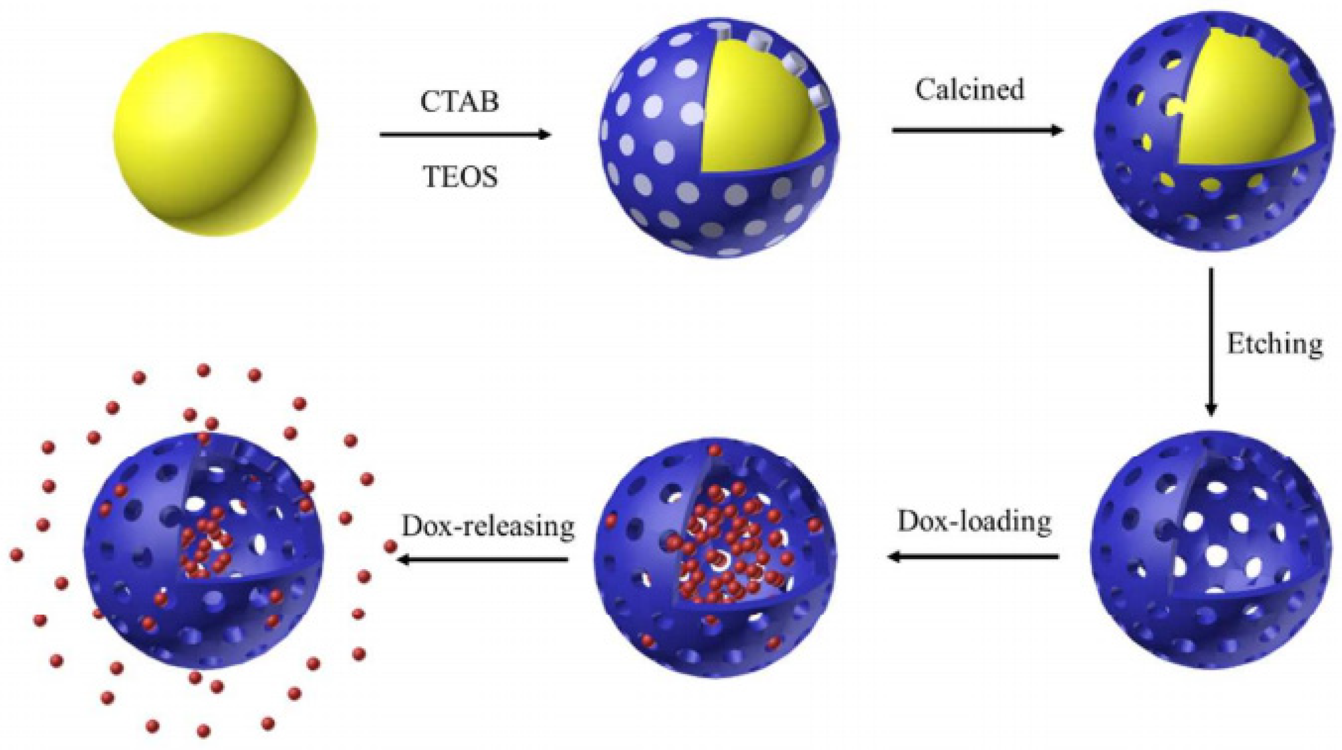 Molecules 28 02013 g006