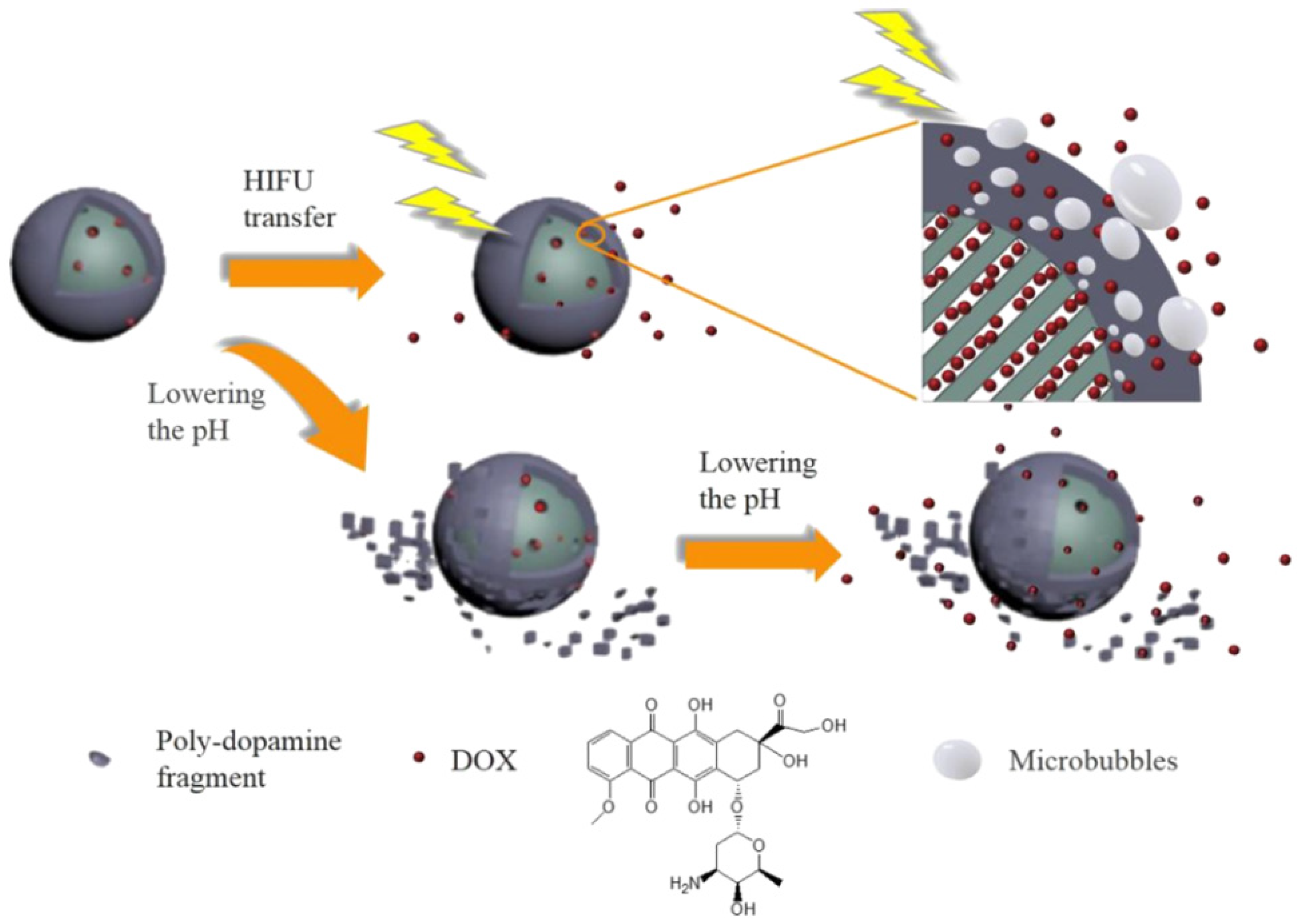 Molecules 28 02013 g010