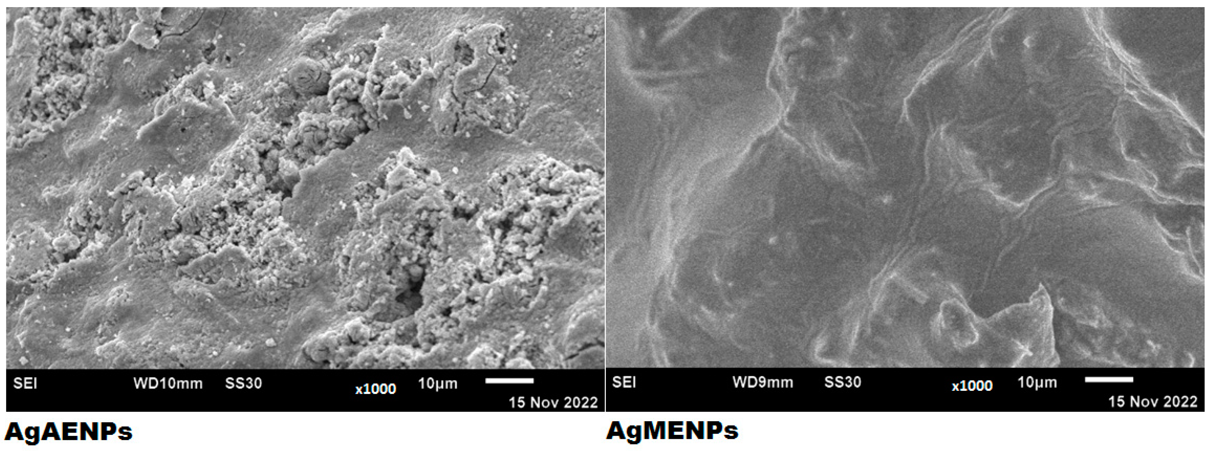 Molecules 28 02020 g005 Molecules 28 02020 g005