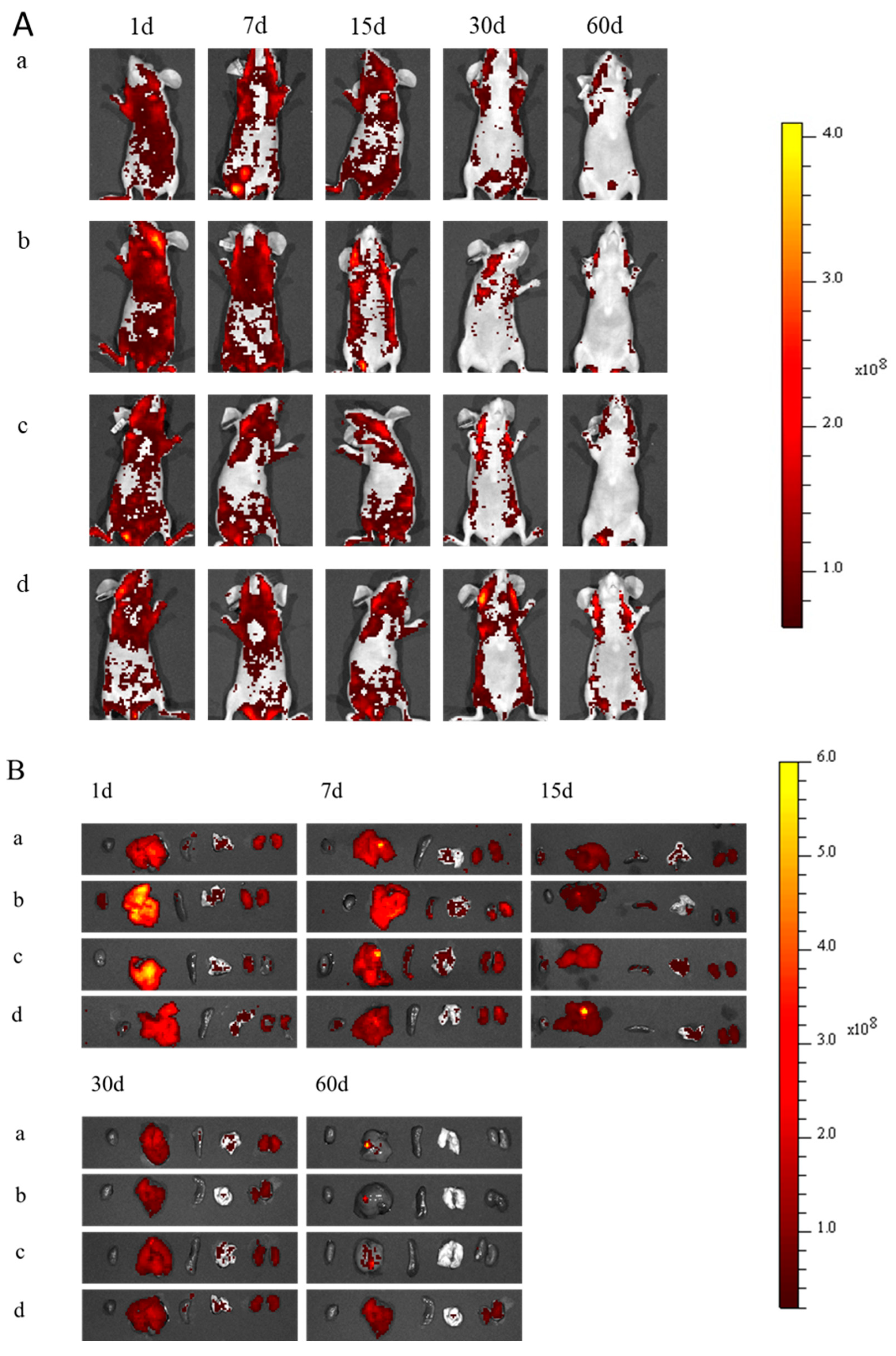 Molecules 28 02034 g005 Molecules 28 02034 g005