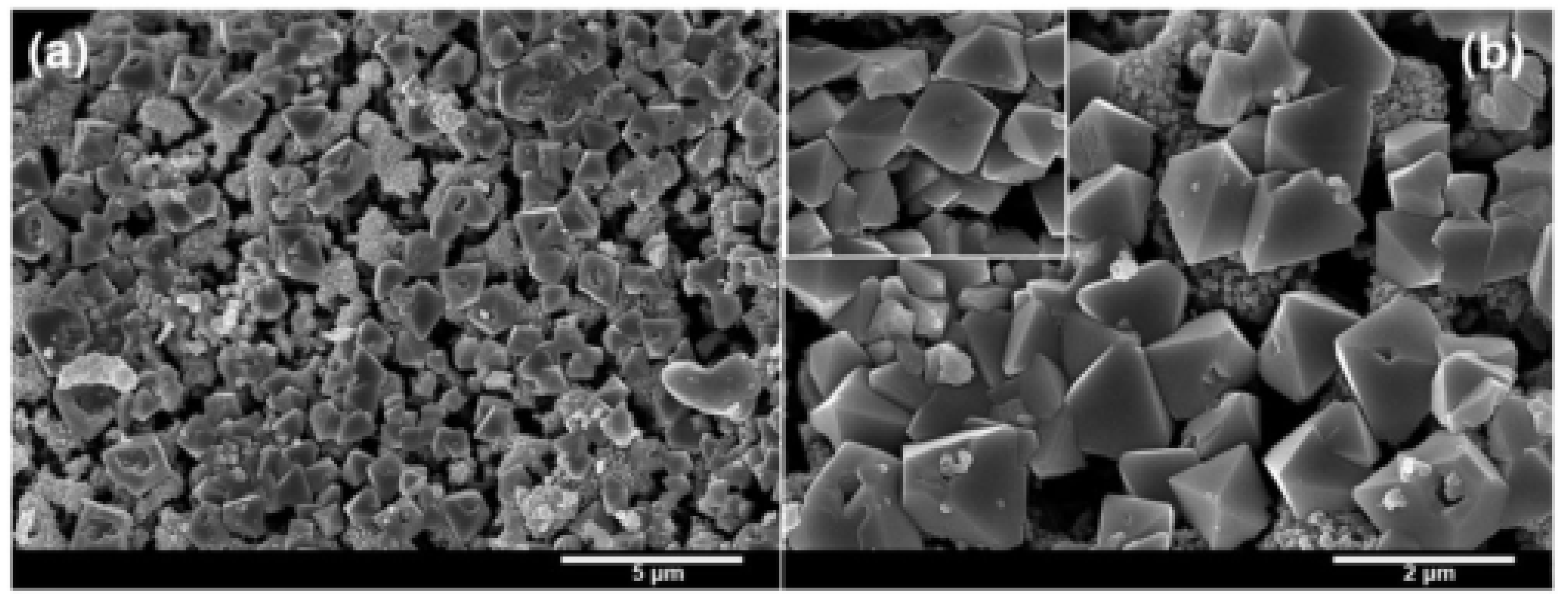 Molecules 28 02035 g005 Molecules 28 02035 g005