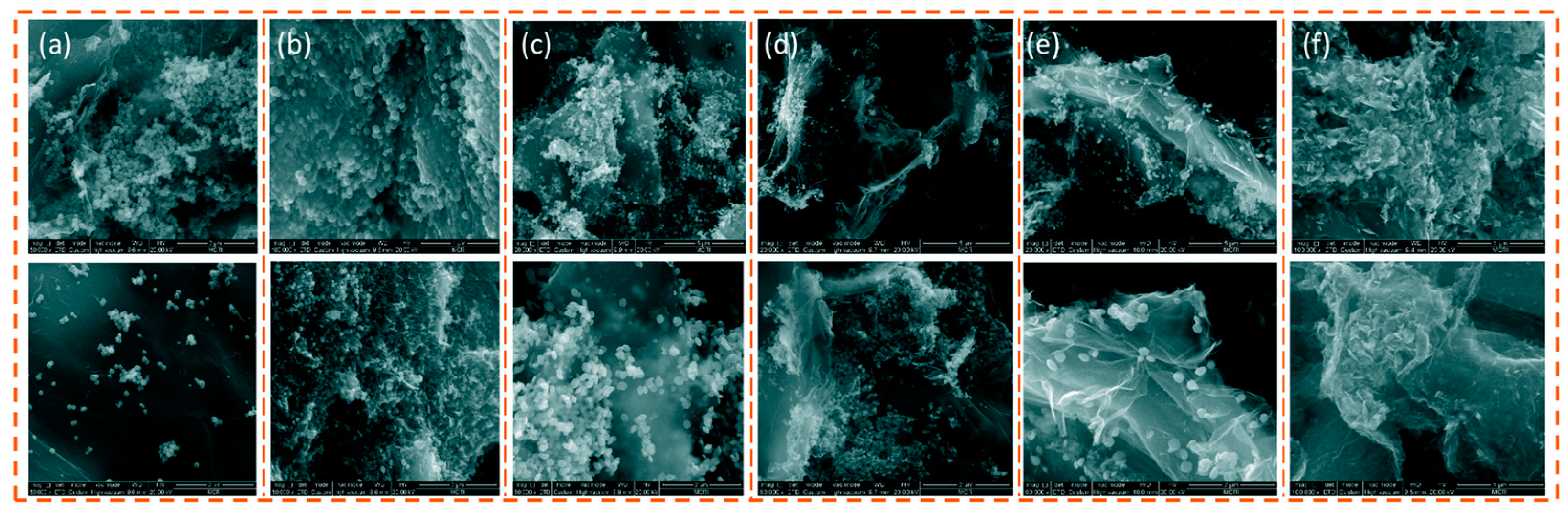 Molecules 28 02035 g021 Molecules 28 02035 g021