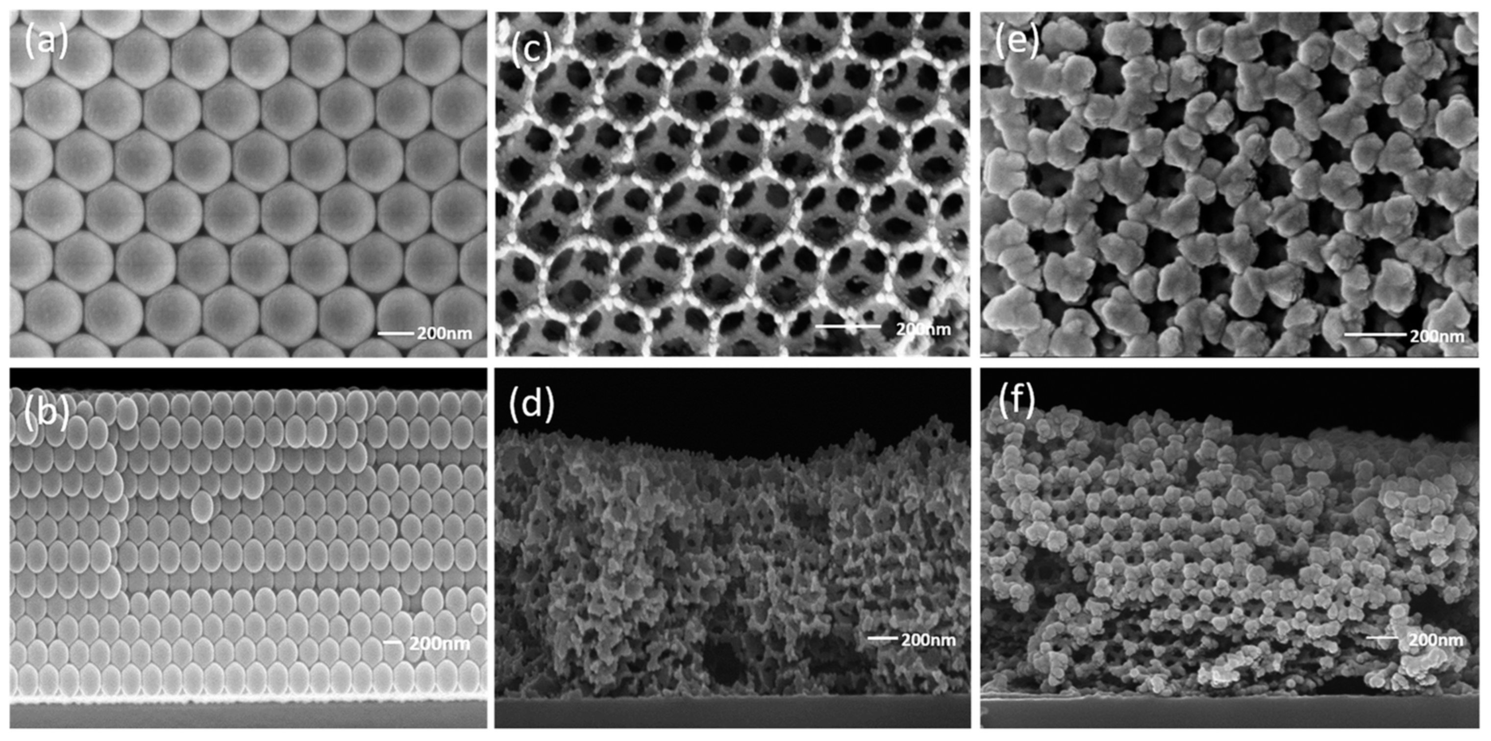 Molecules 28 02035 g031 Molecules 28 02035 g031