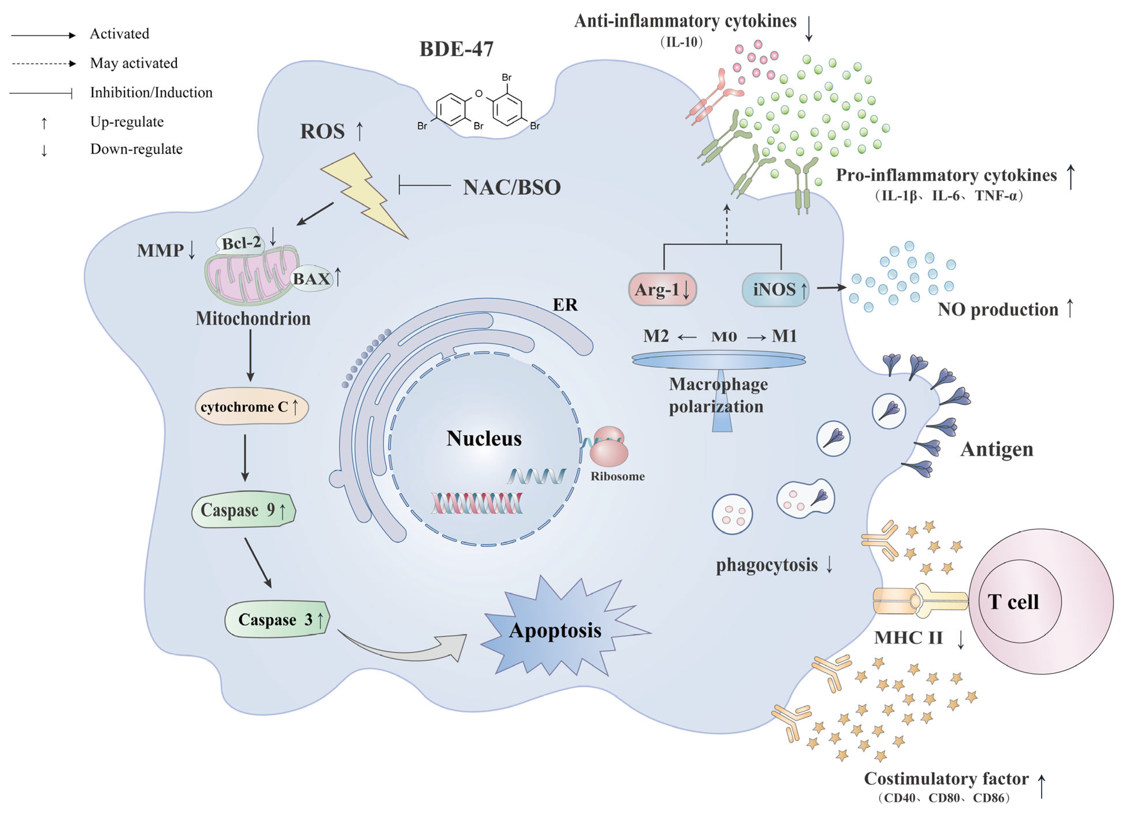 Molecules 28 02036 g008 Molecules 28 02036 g008