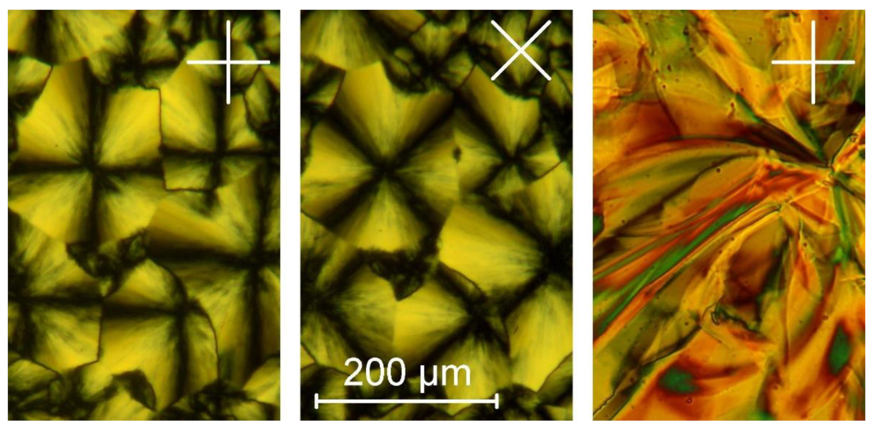 Molecules 28 02038 g003