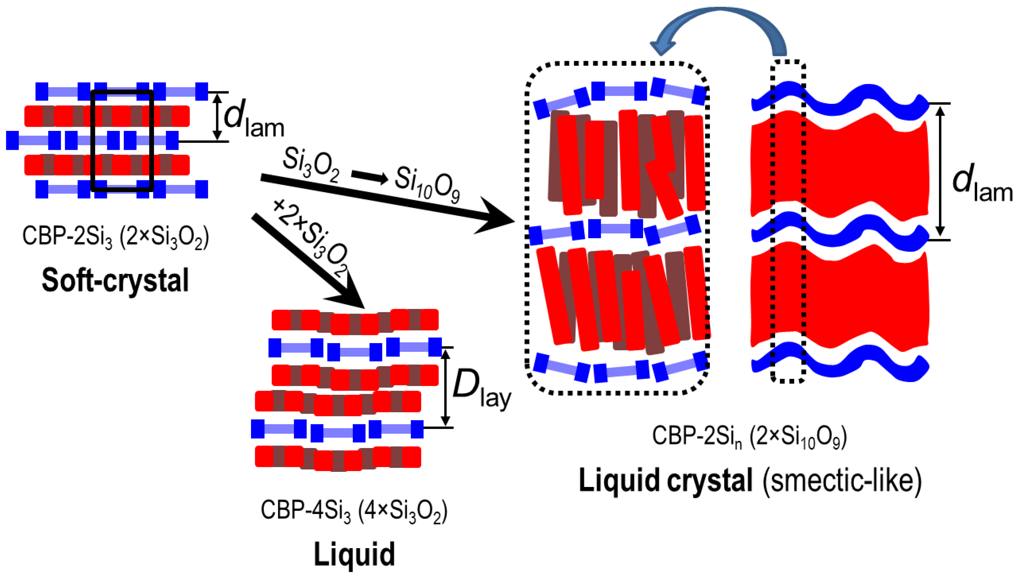 Molecules 28 02038 g007