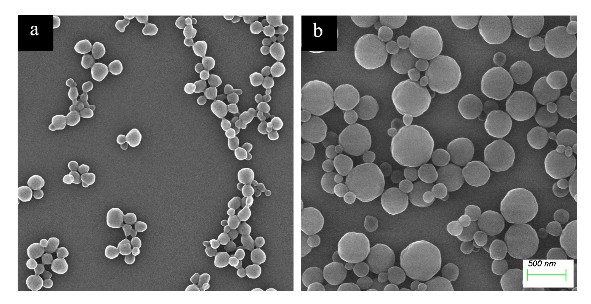 Molecules 28 02052 g004 Molecules 28 02052 g004