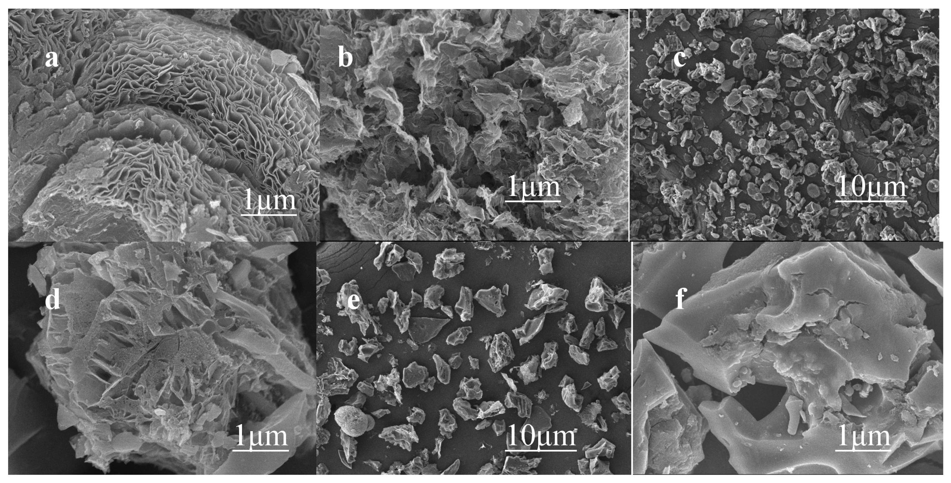 Molecules 28 02072 g001