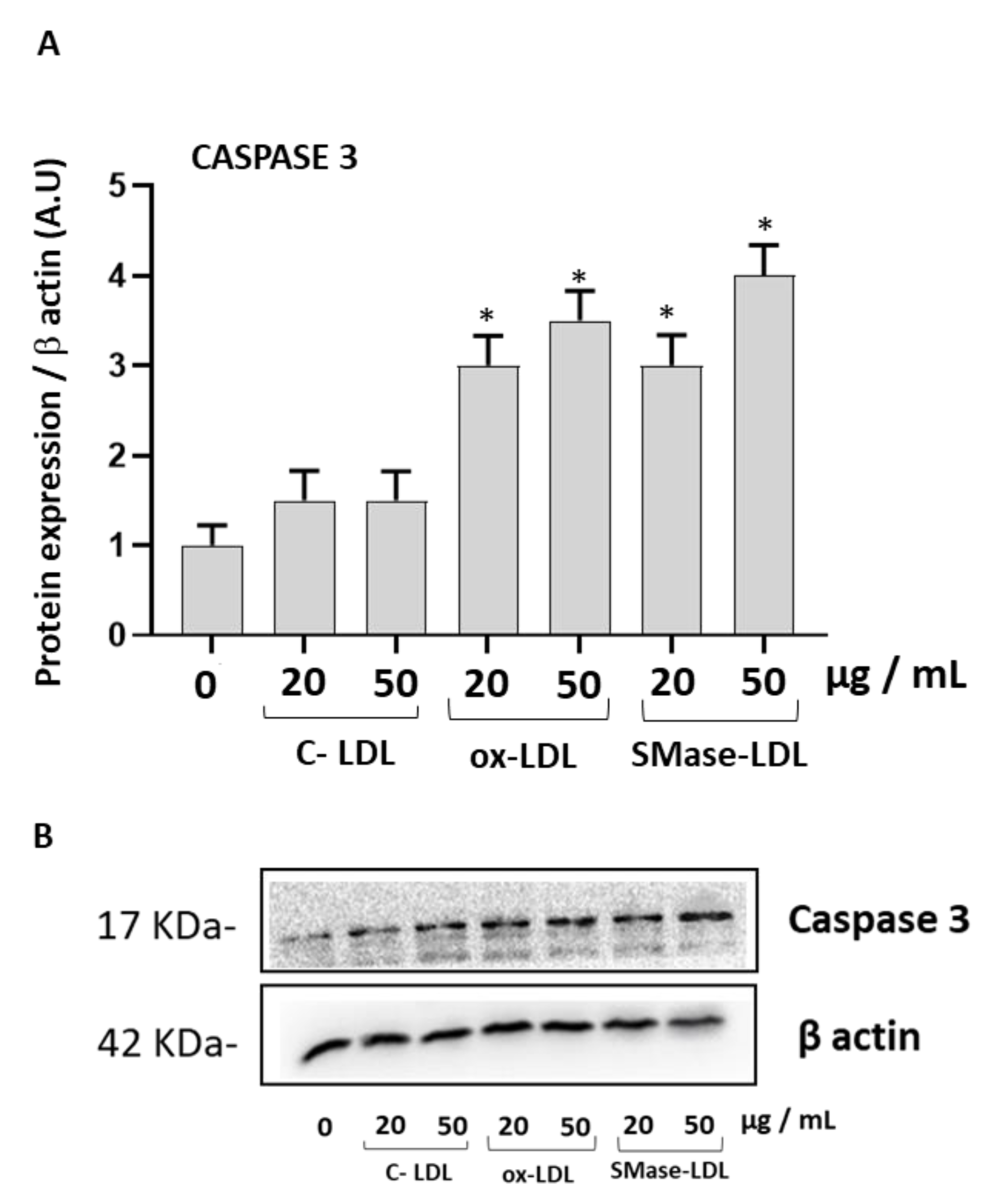 Molecules 28 02100 g002 Molecules 28 02100 g002