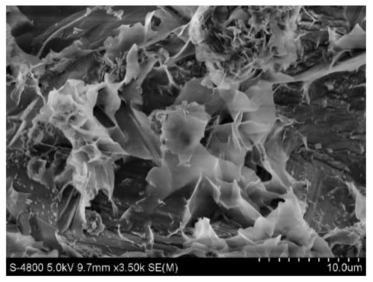 Molecules 28 02124 g010