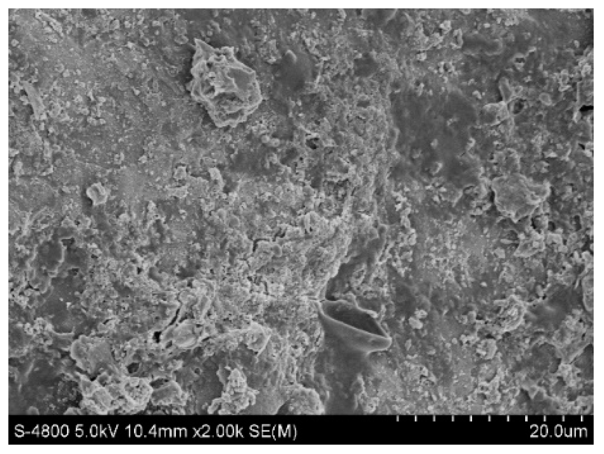Molecules 28 02124 g011