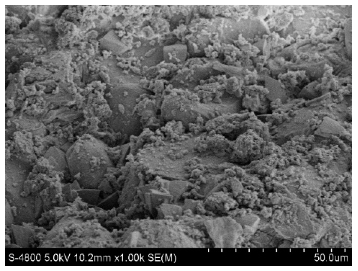 Molecules 28 02124 g012