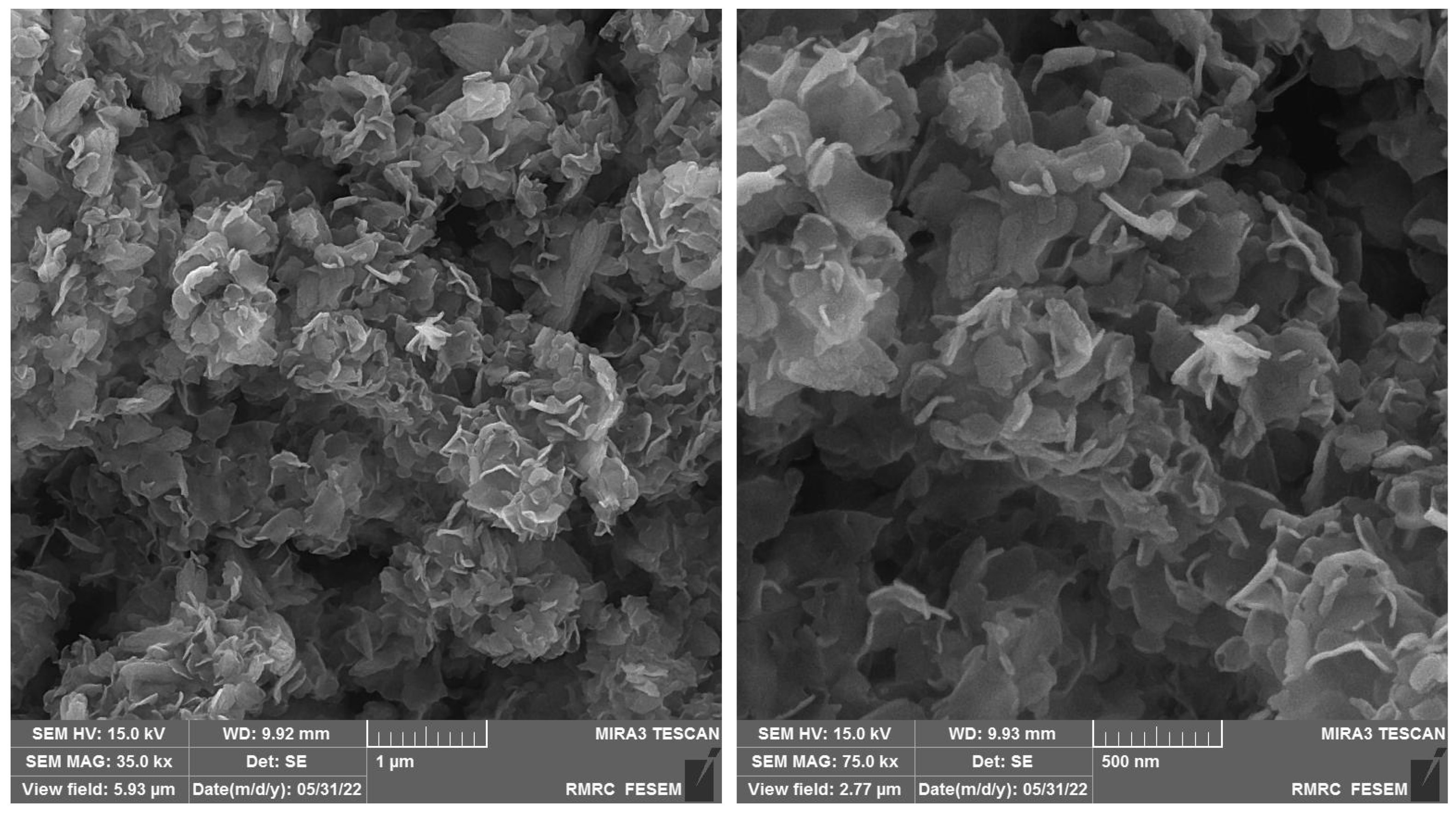 Molecules 28 02128 g001