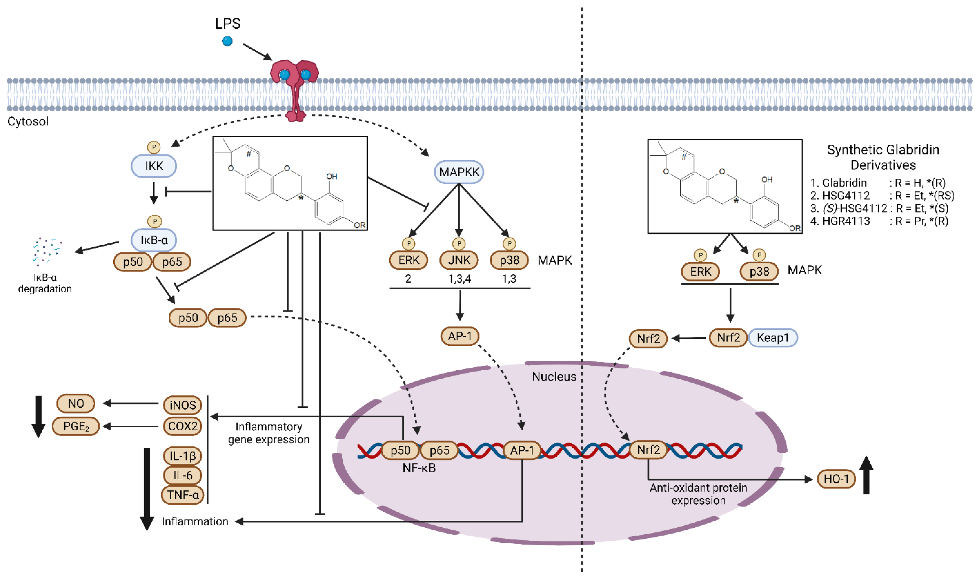 Molecules 28 02135 g008