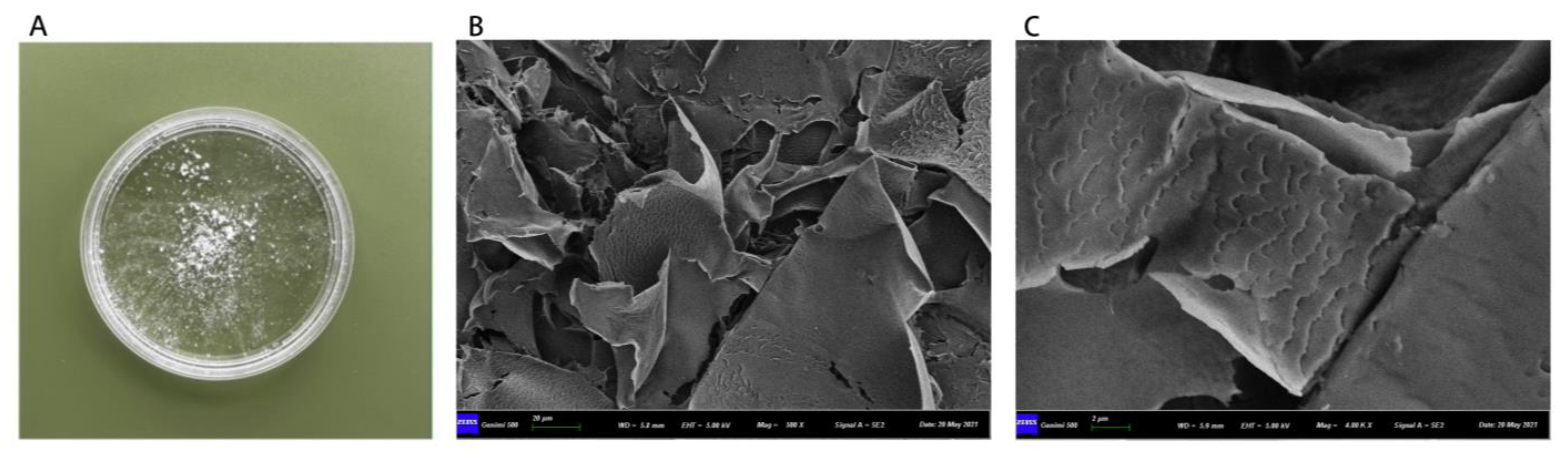 Molecules 28 02140 g002 Molecules 28 02140 g002
