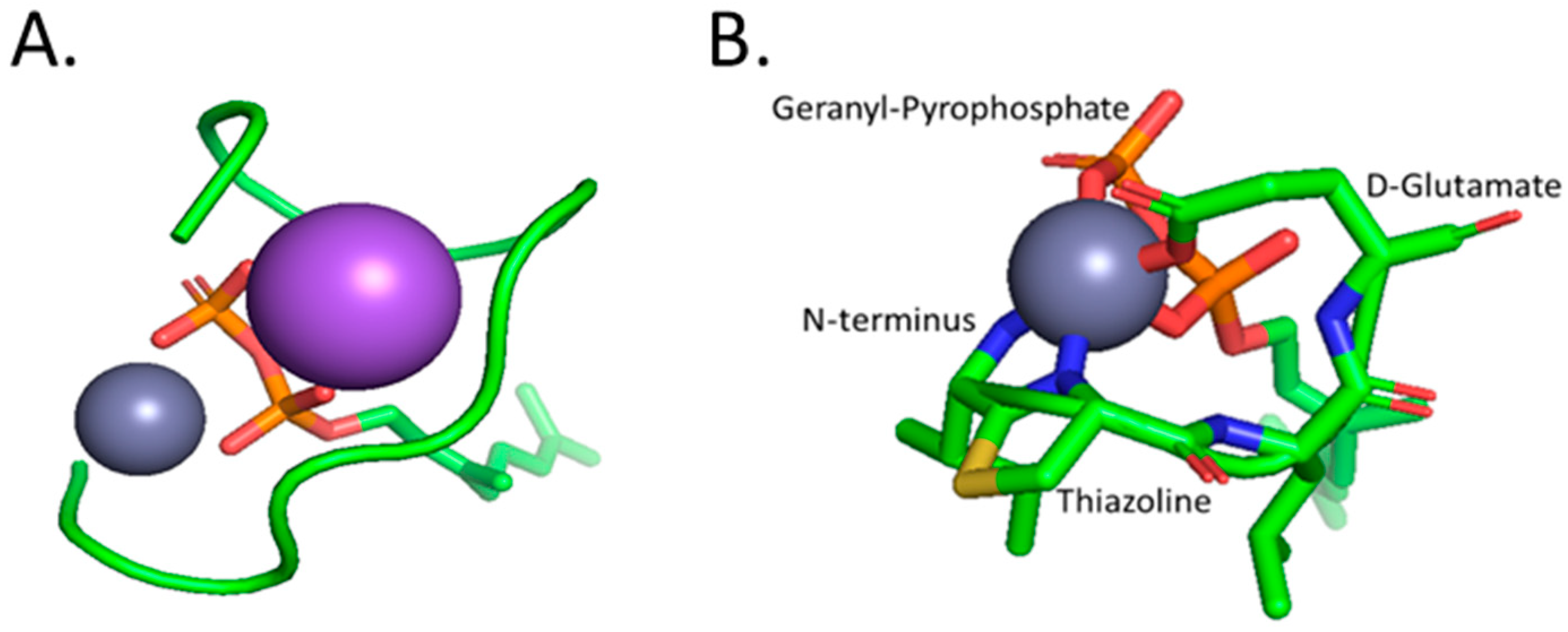 Molecules 28 02156 g003