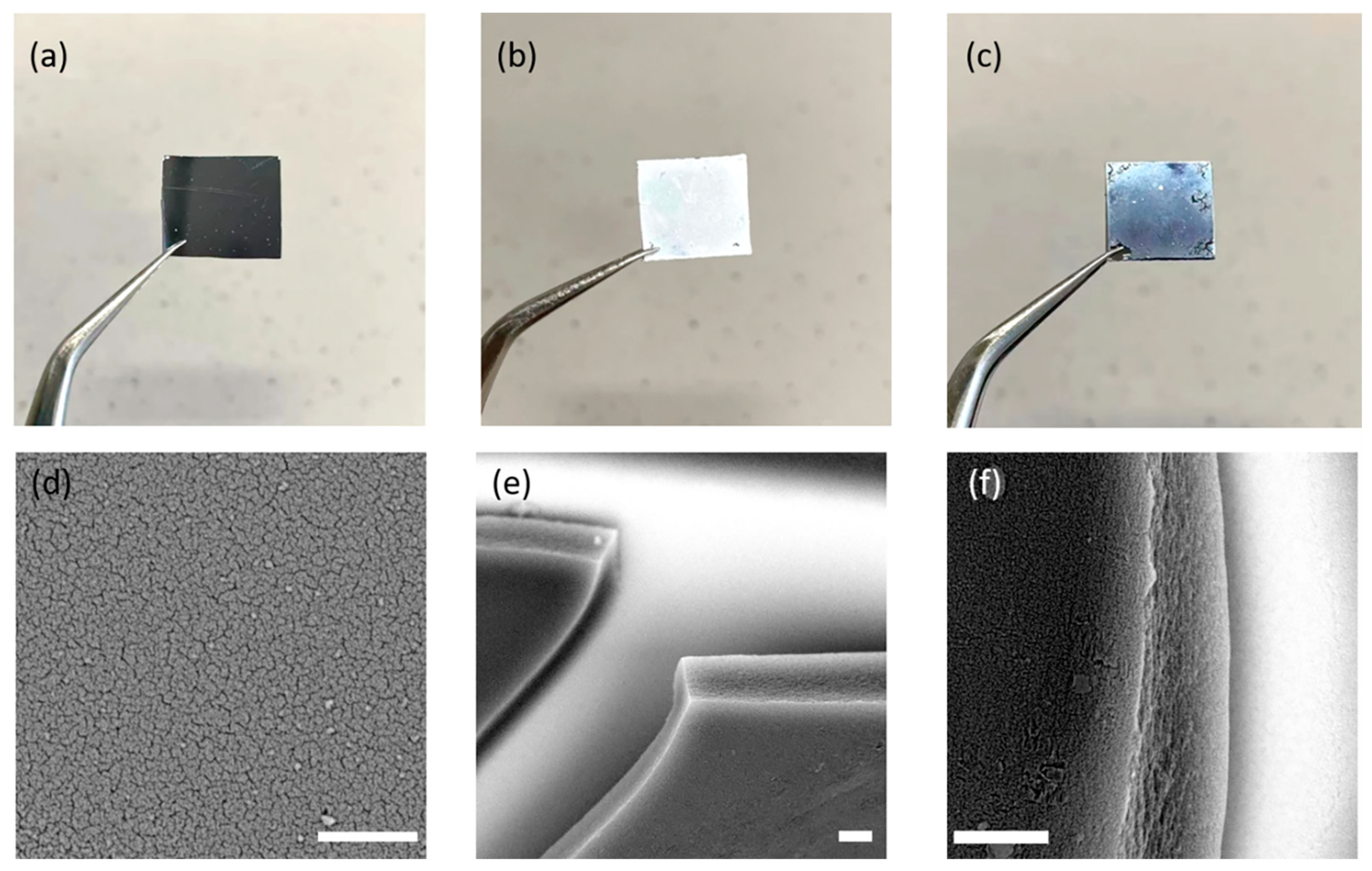 Molecules 28 02173 g006 Molecules 28 02173 g006