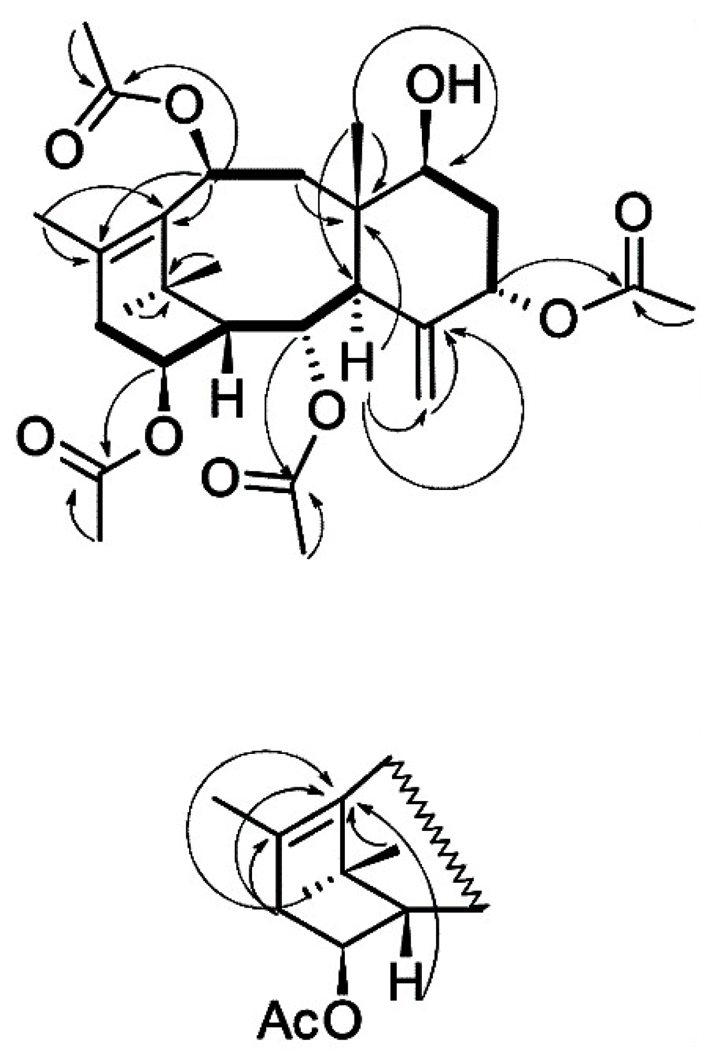 Molecules 28 02178 g004 Molecules 28 02178 g004