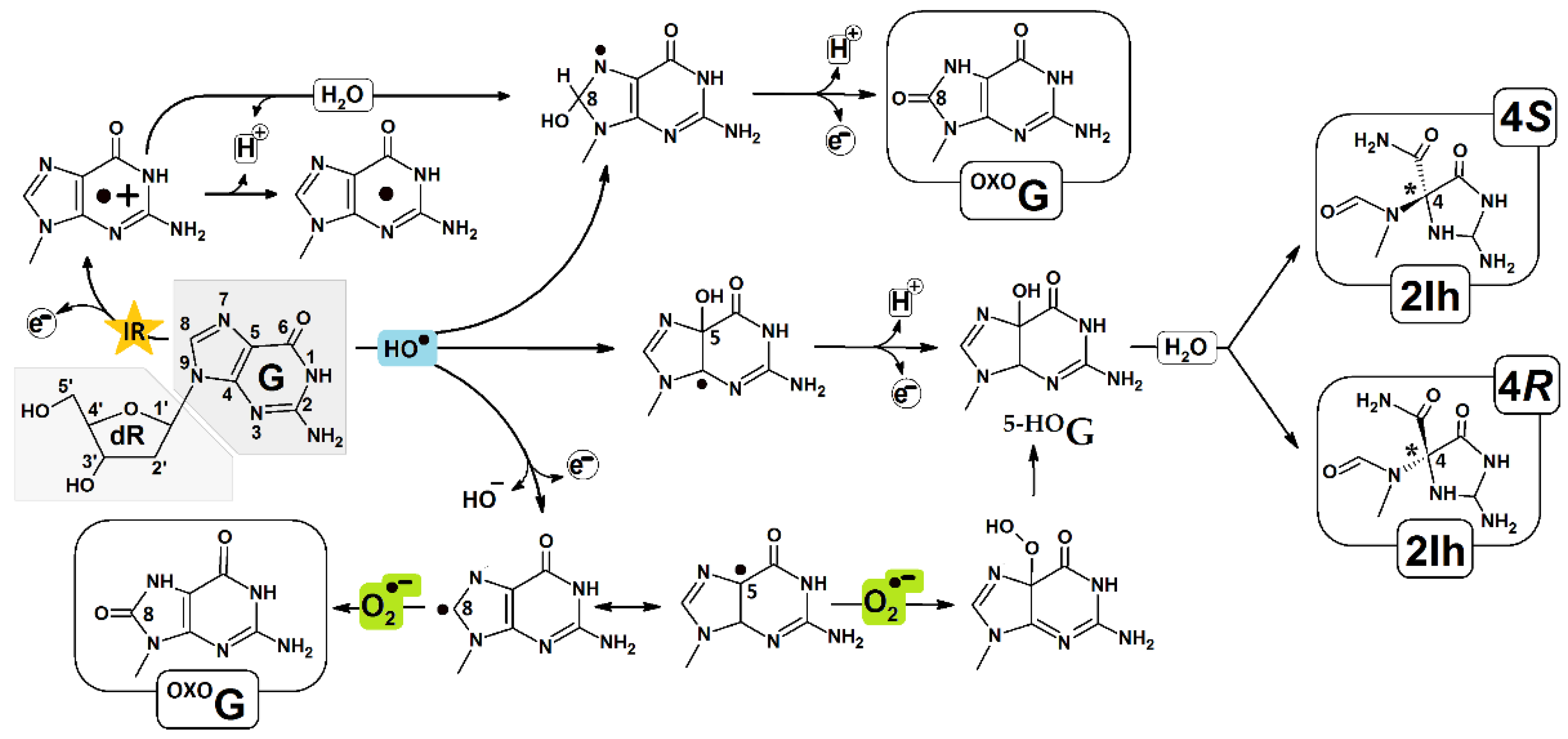 Molecules 28 02180 g001