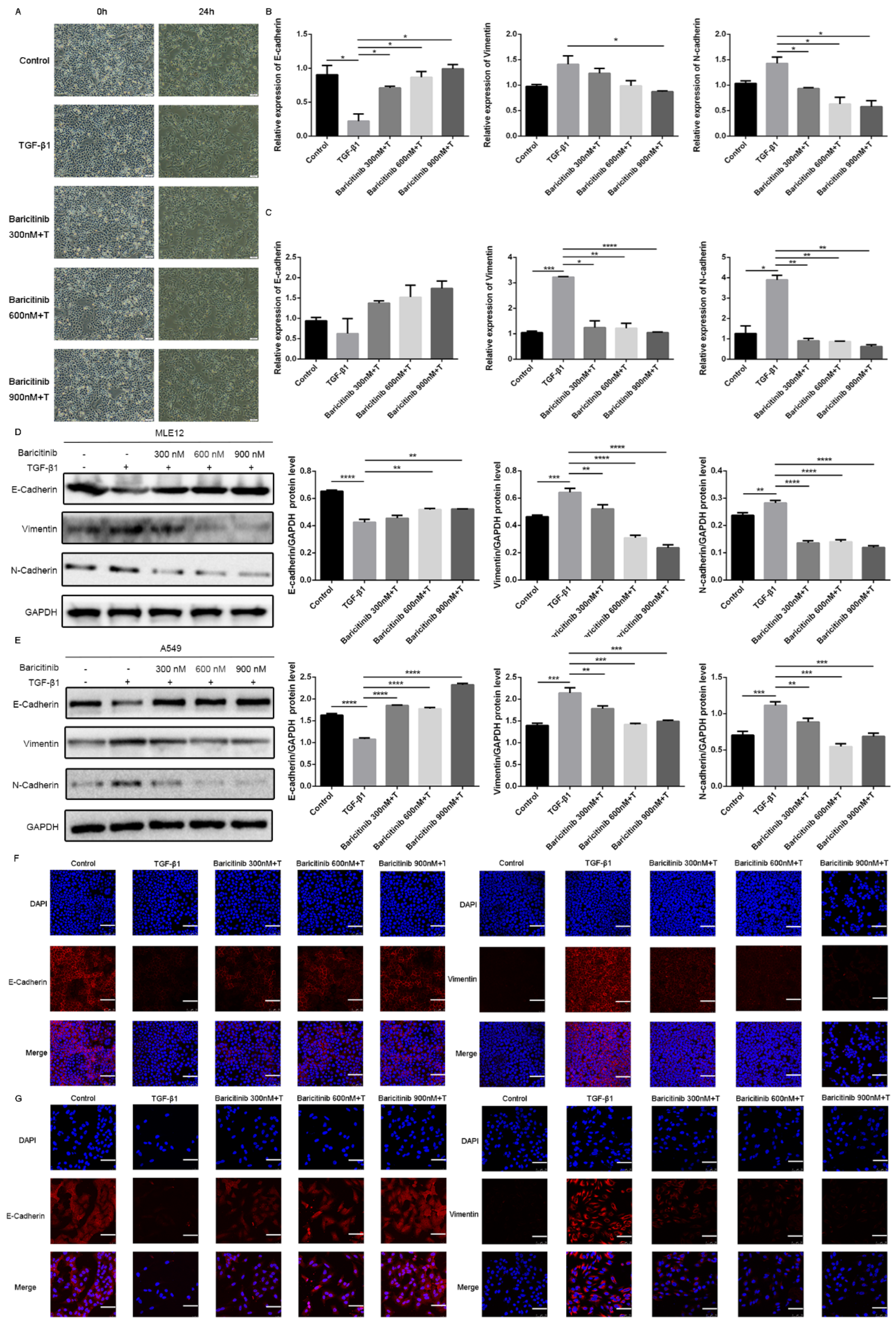 Molecules 28 02195 g007 Molecules 28 02195 g007