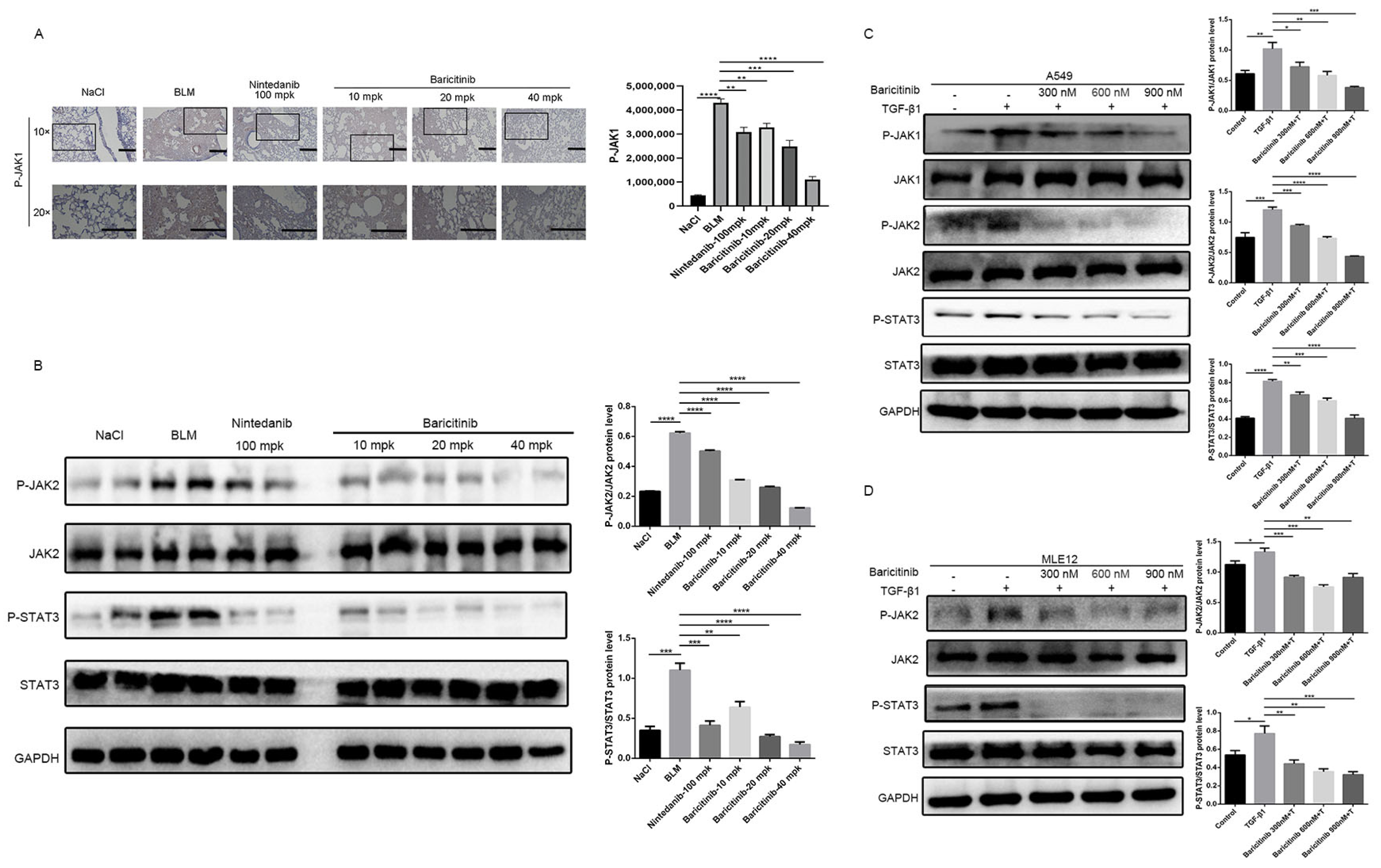 Molecules 28 02195 g009 Molecules 28 02195 g009