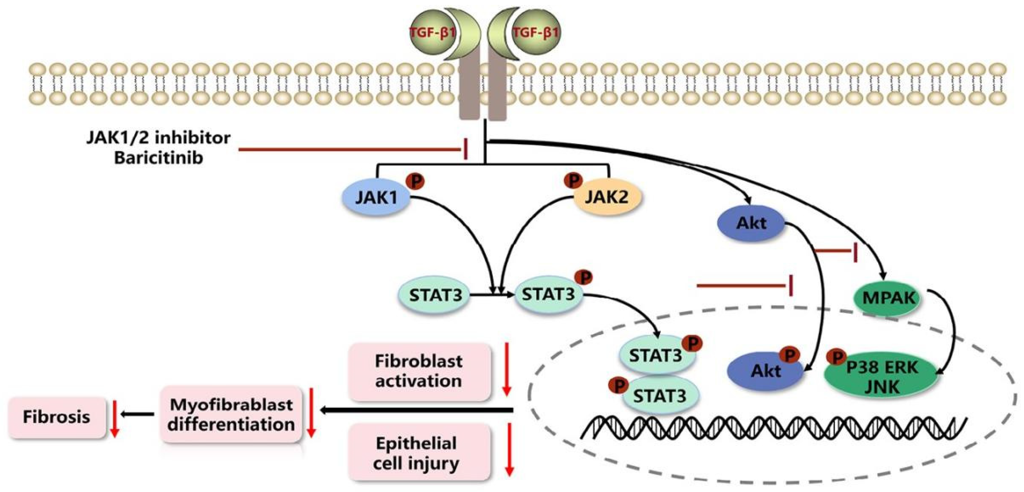 Molecules 28 02195 g010 Molecules 28 02195 g010