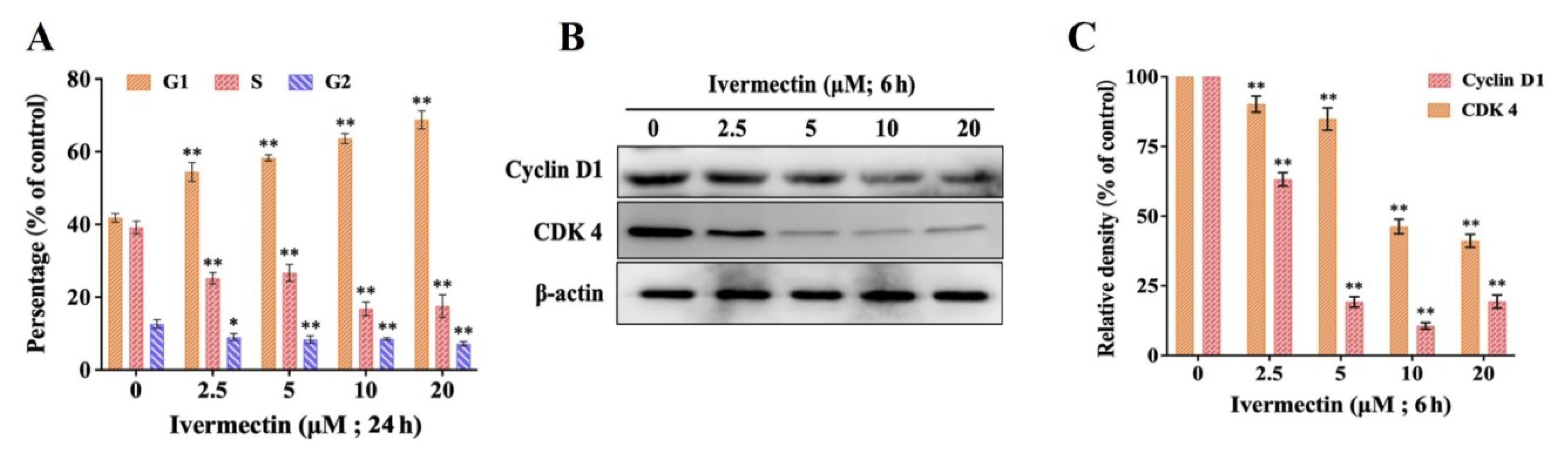 Molecules 28 02201 g002 Molecules 28 02201 g002