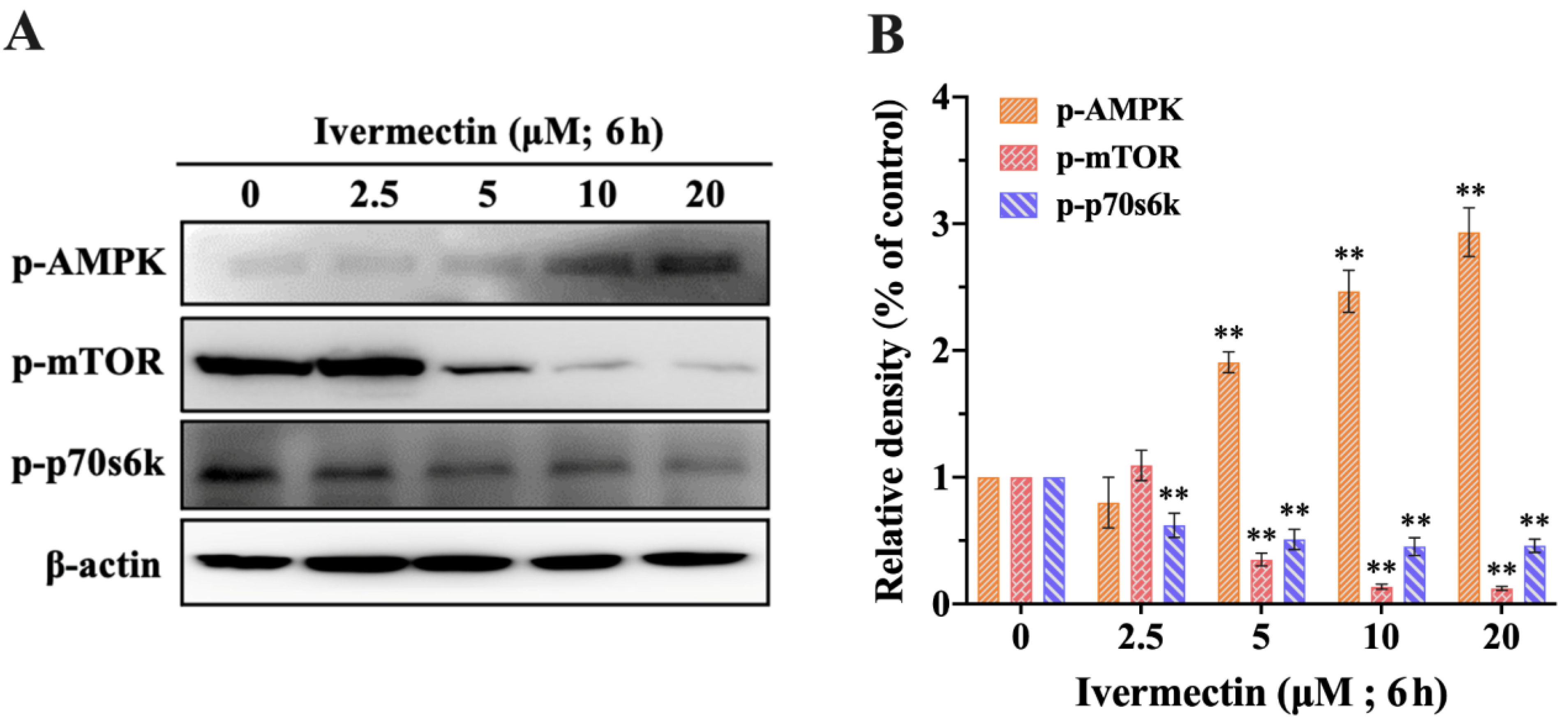 Molecules 28 02201 g006 Molecules 28 02201 g006