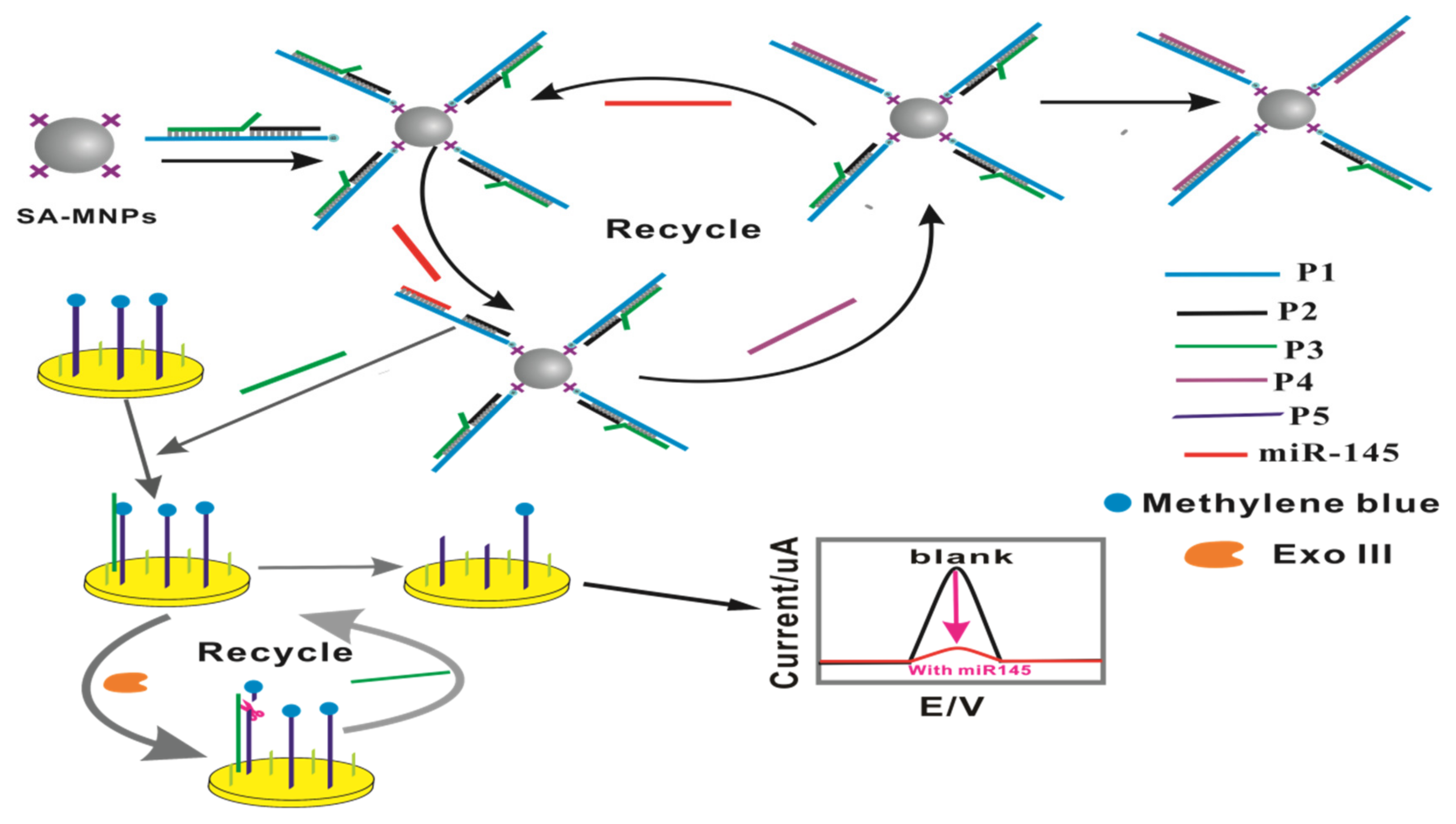 Molecules 28 02208 sch001 Molecules 28 02208 sch001