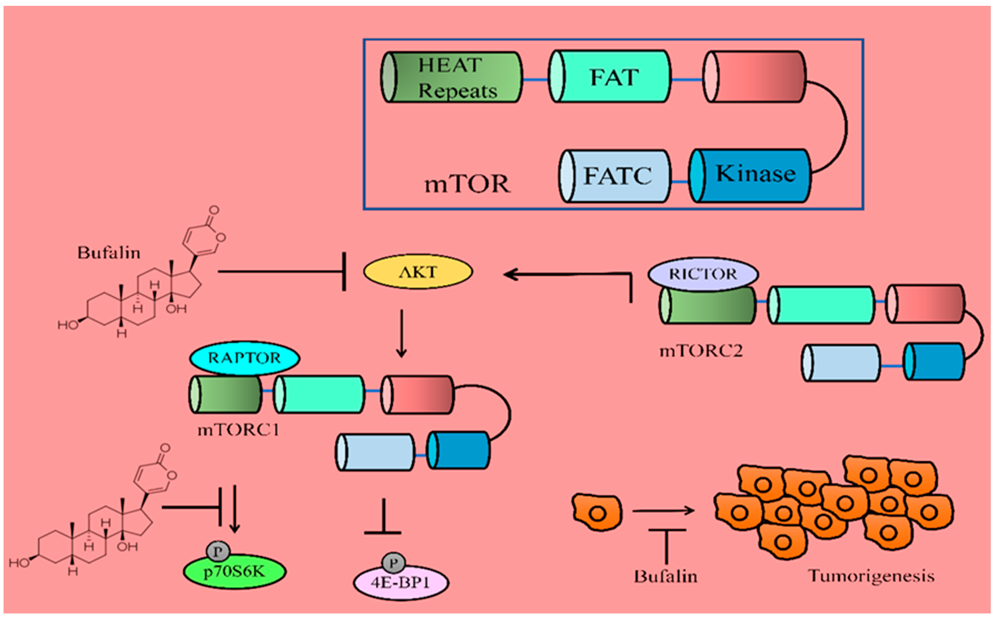 Molecules 28 02231 g002 Molecules 28 02231 g002