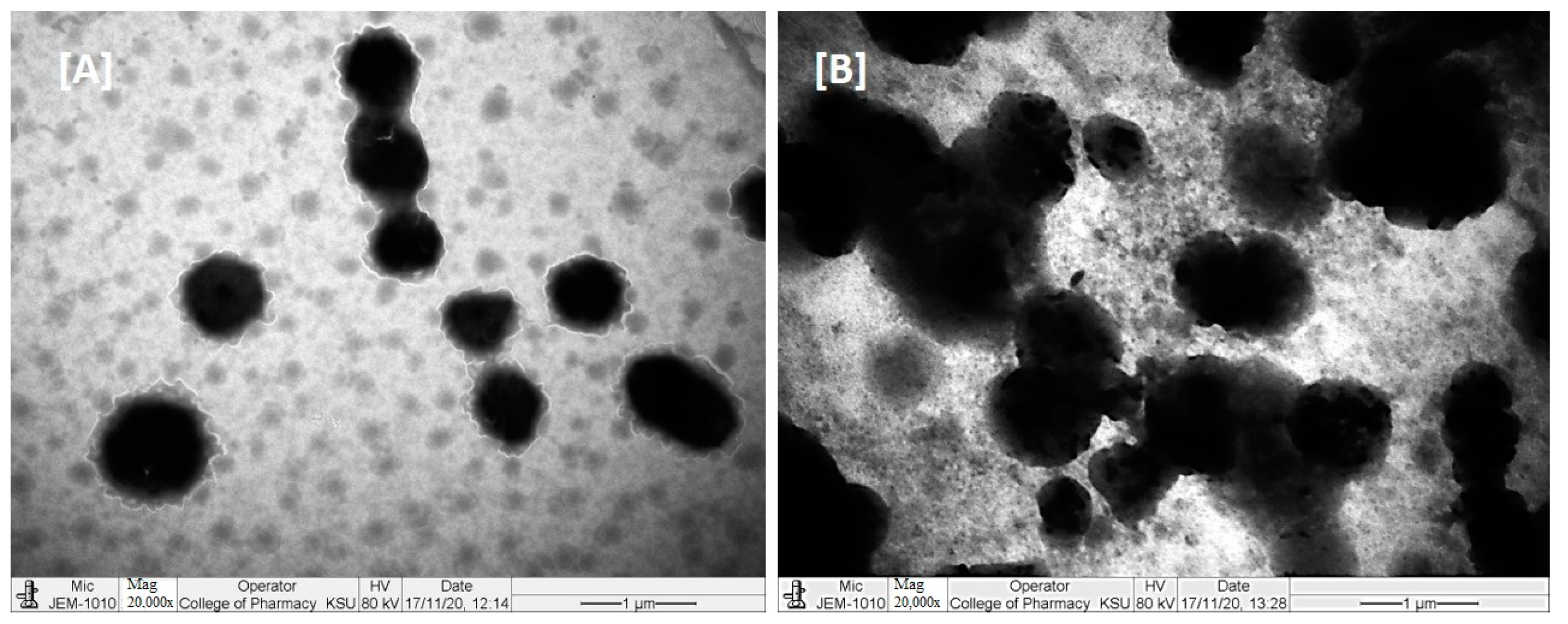 Molecules 28 02237 g006 Molecules 28 02237 g006