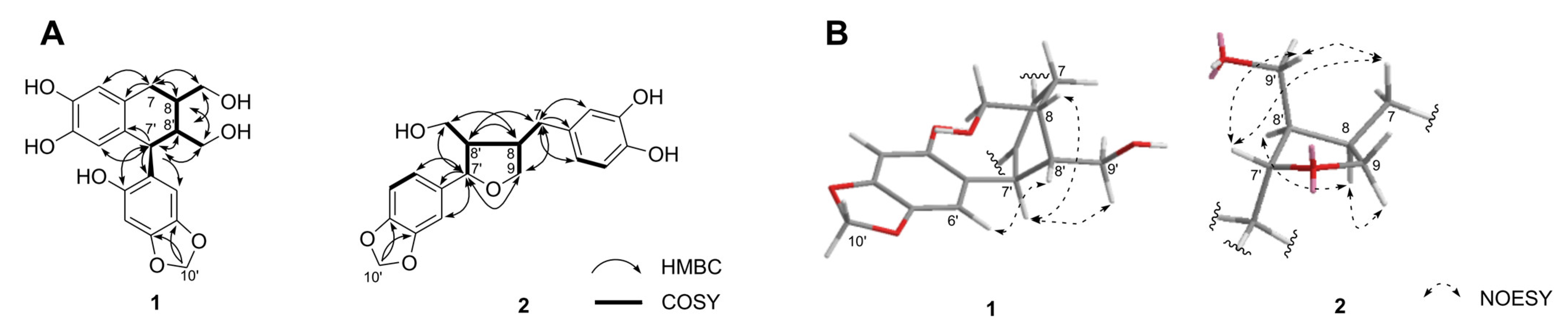 Molecules 28 02255 g002 Molecules 28 02255 g002