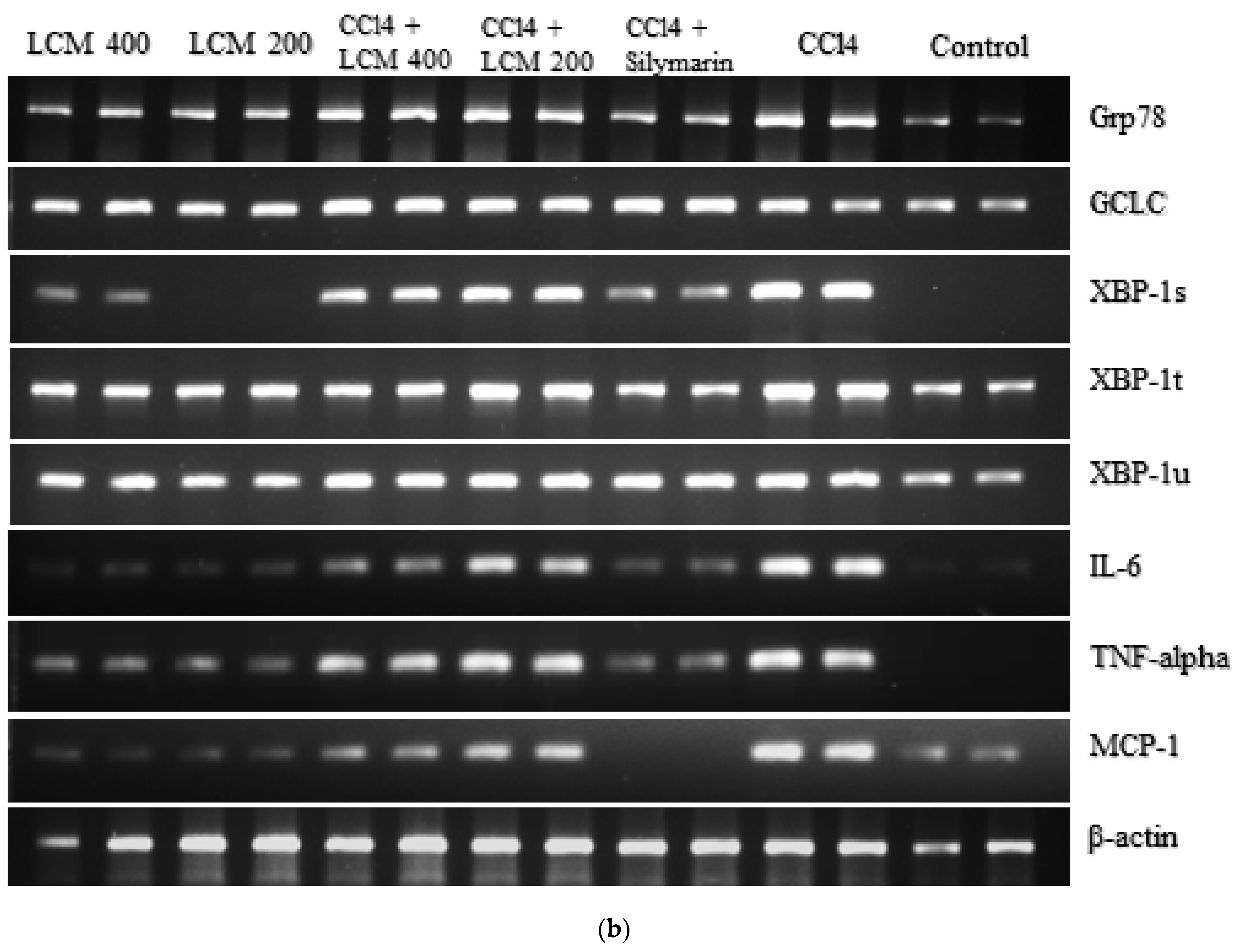 Molecules 28 02257 g003b Molecules 28 02257 g003b