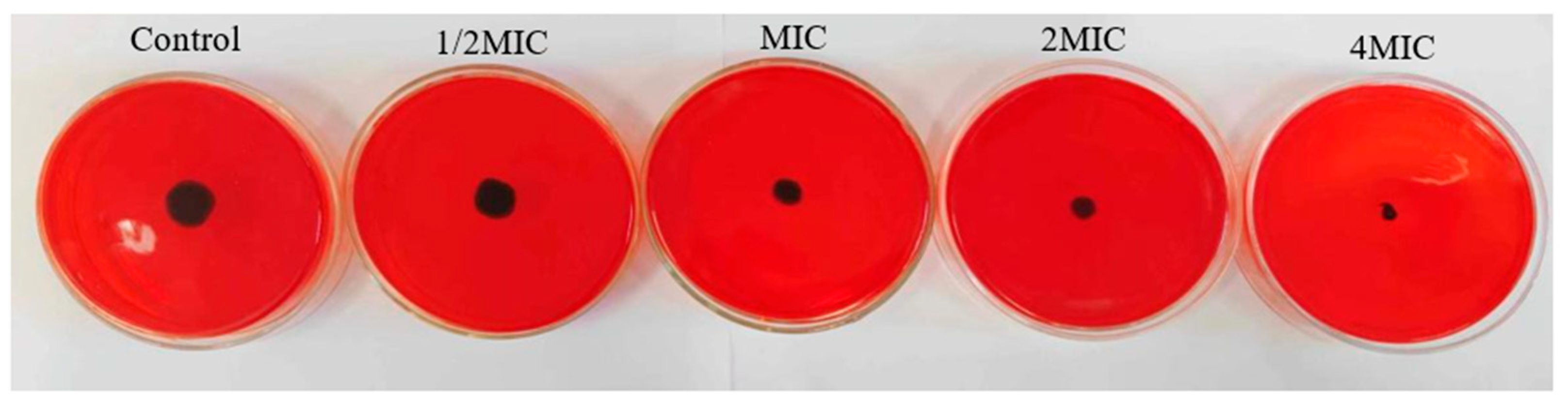 Molecules 28 02268 g006