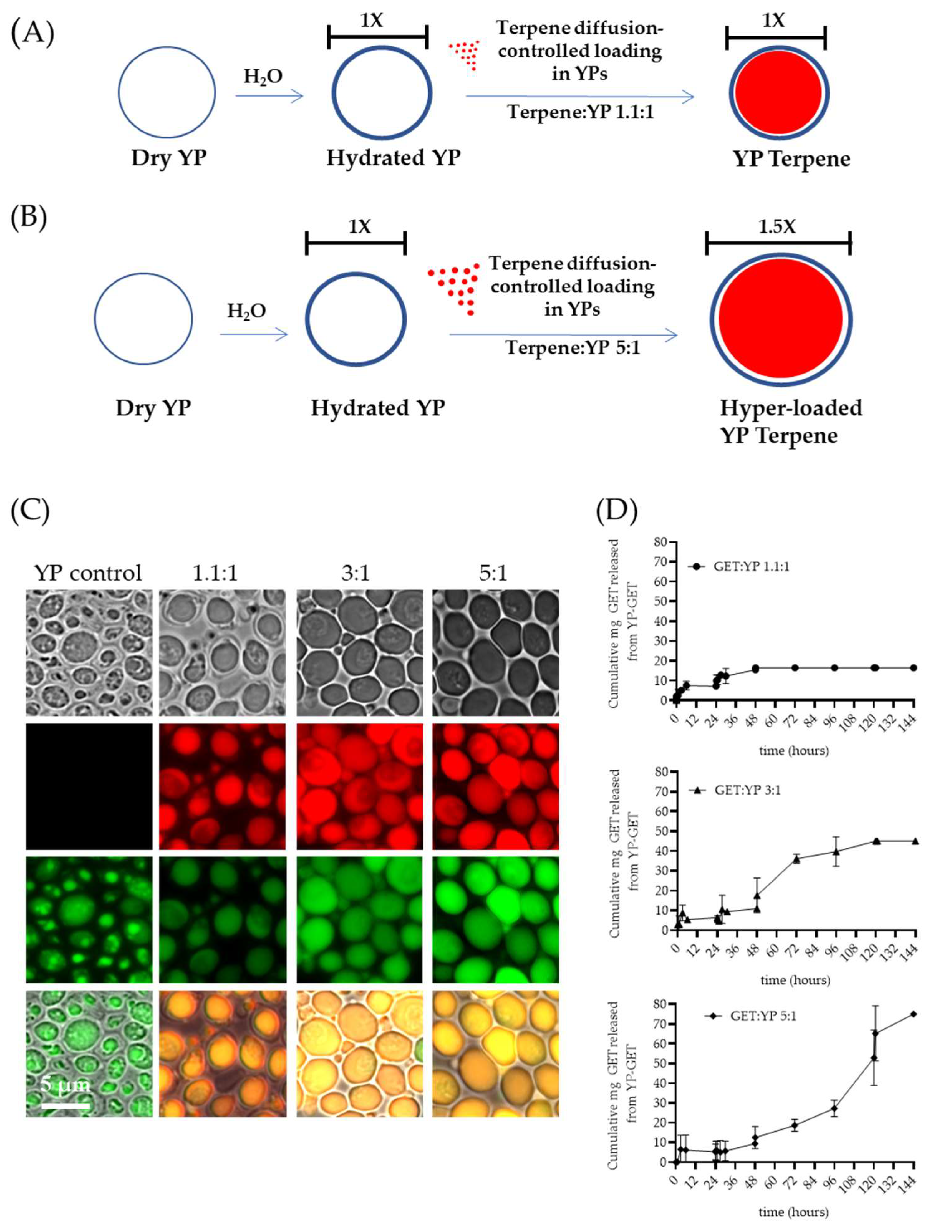 Molecules 28 02273 g004 Molecules 28 02273 g004