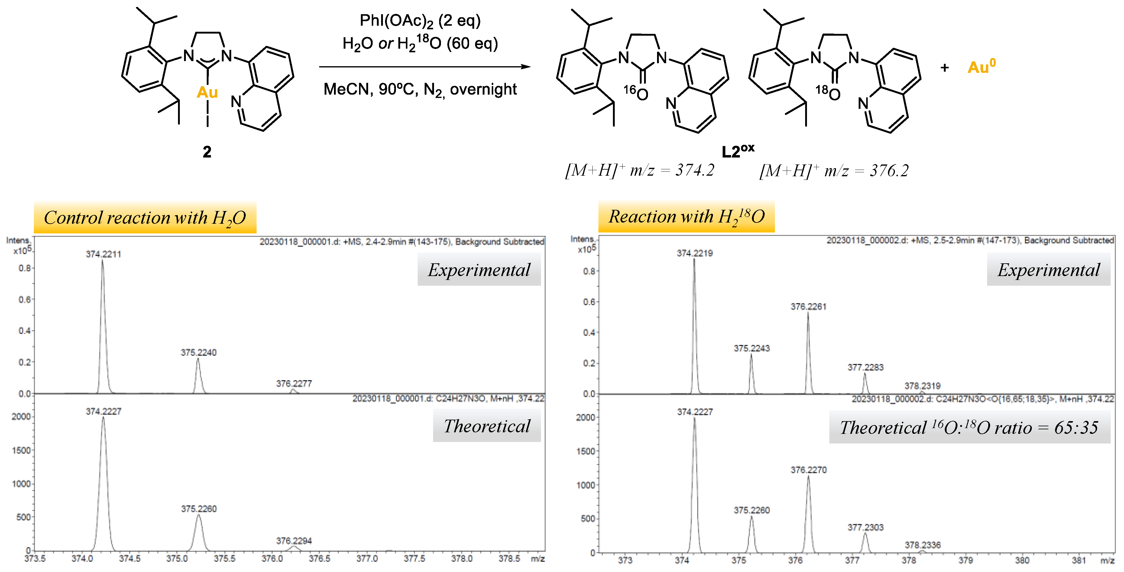 Molecules 28 02302 g004 Molecules 28 02302 g004