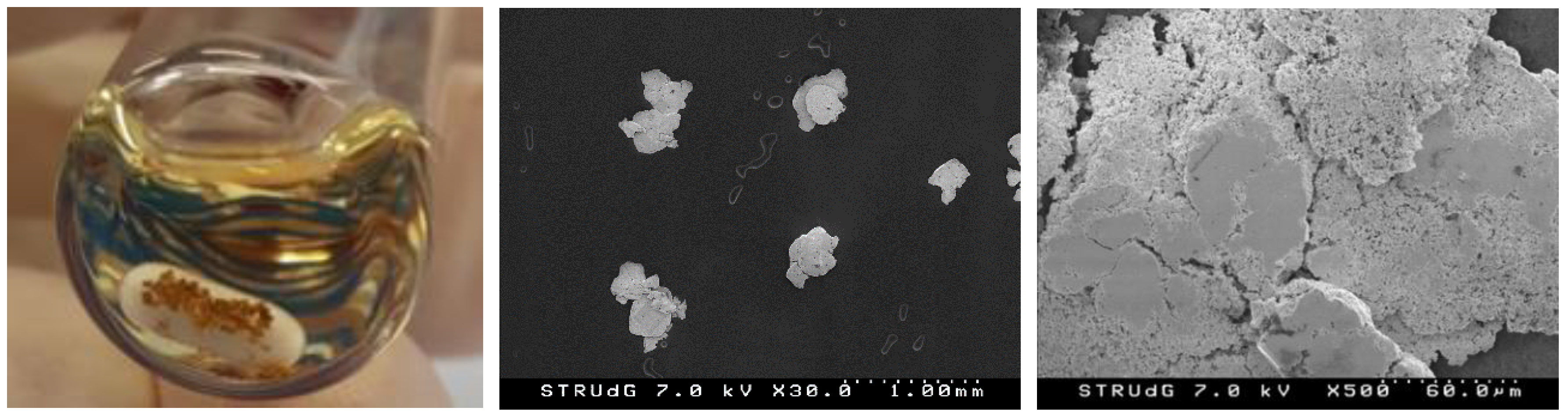 Molecules 28 02302 g005 Molecules 28 02302 g005