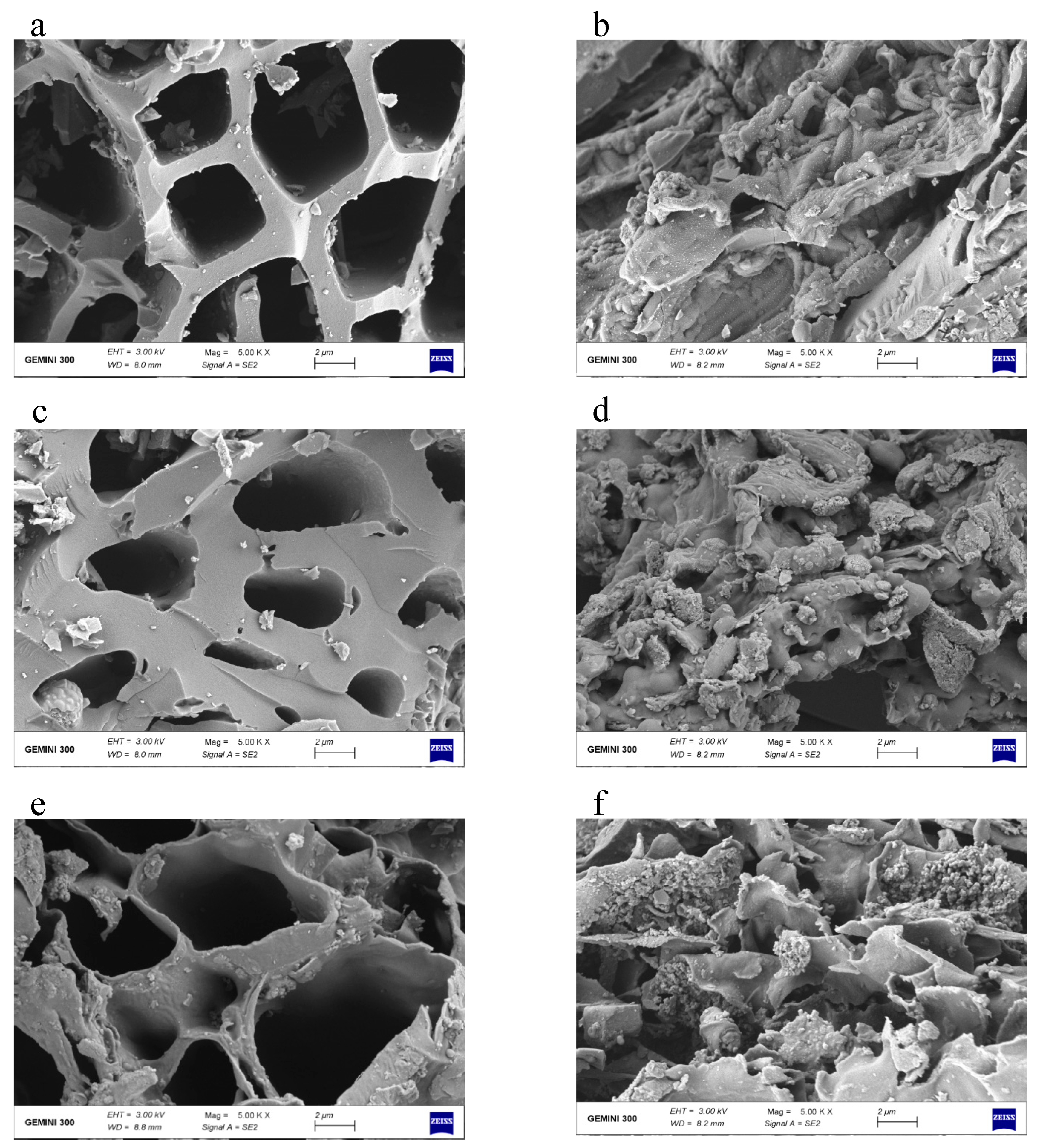Molecules 28 02323 g002