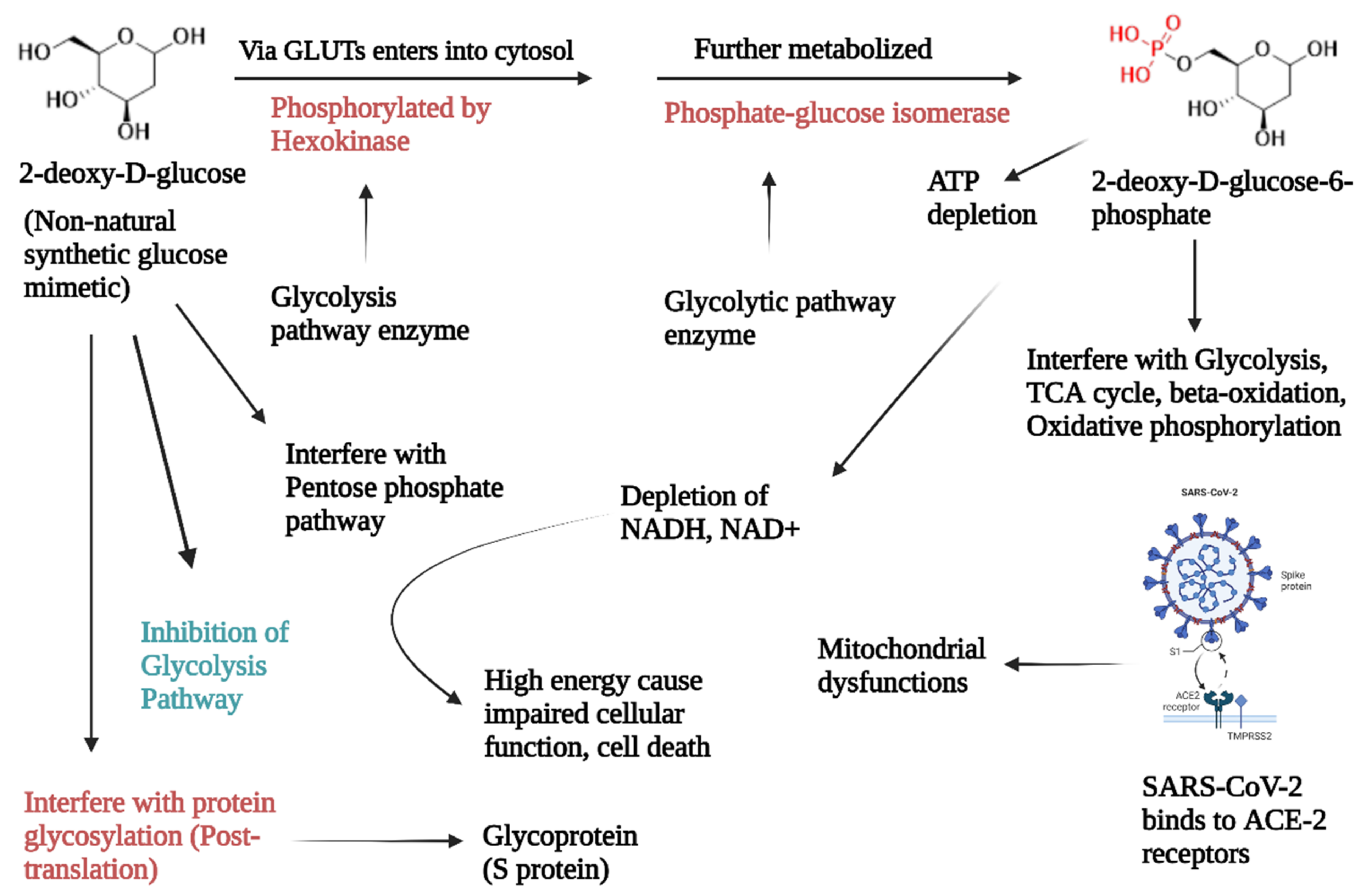 Molecules 28 02332 g004