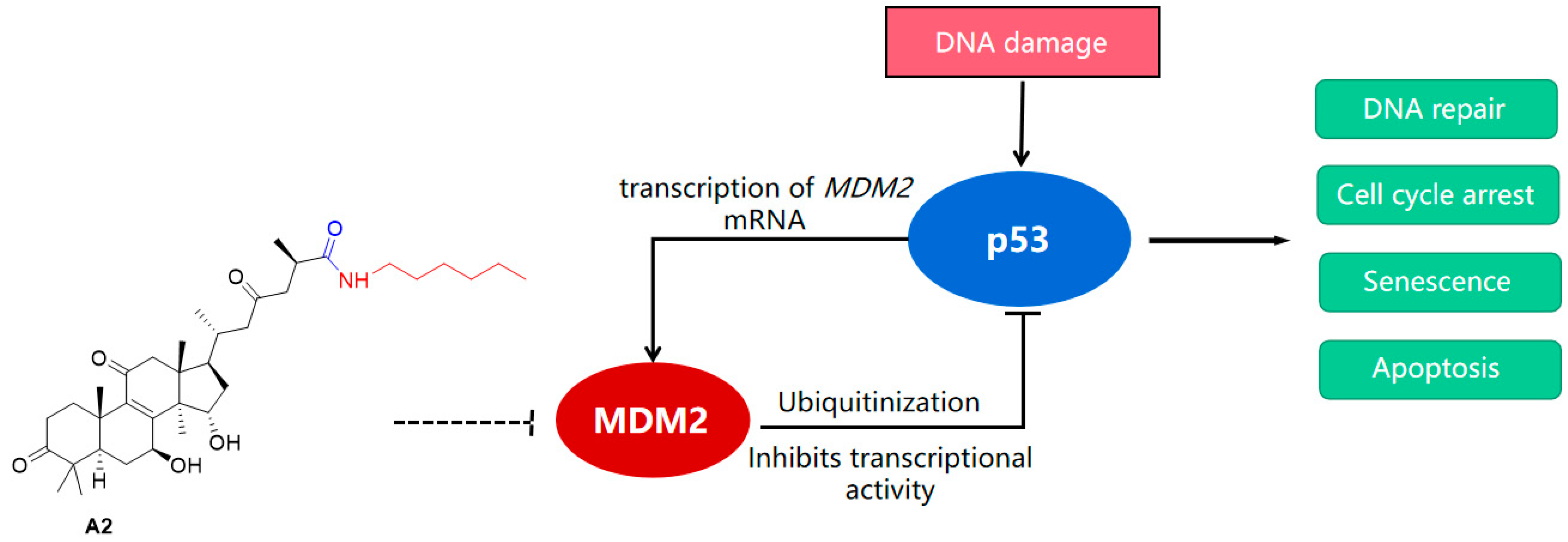 Molecules 28 02374 g002 Molecules 28 02374 g002