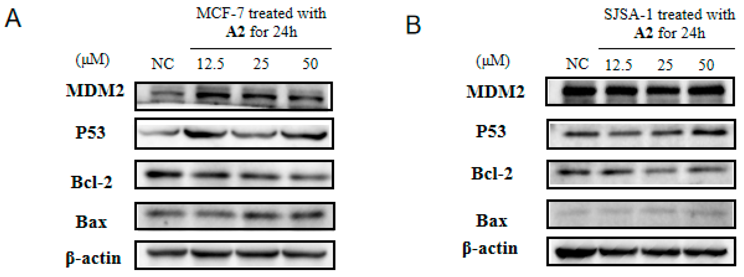 Molecules 28 02374 g005 Molecules 28 02374 g005